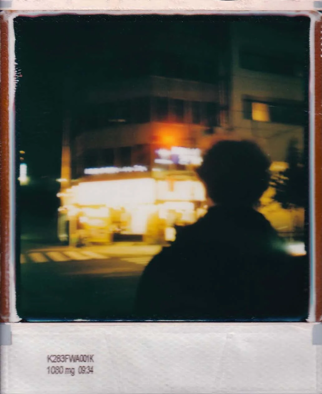 Oskar Halidar Skowronek Polaroid the__octobercountry_