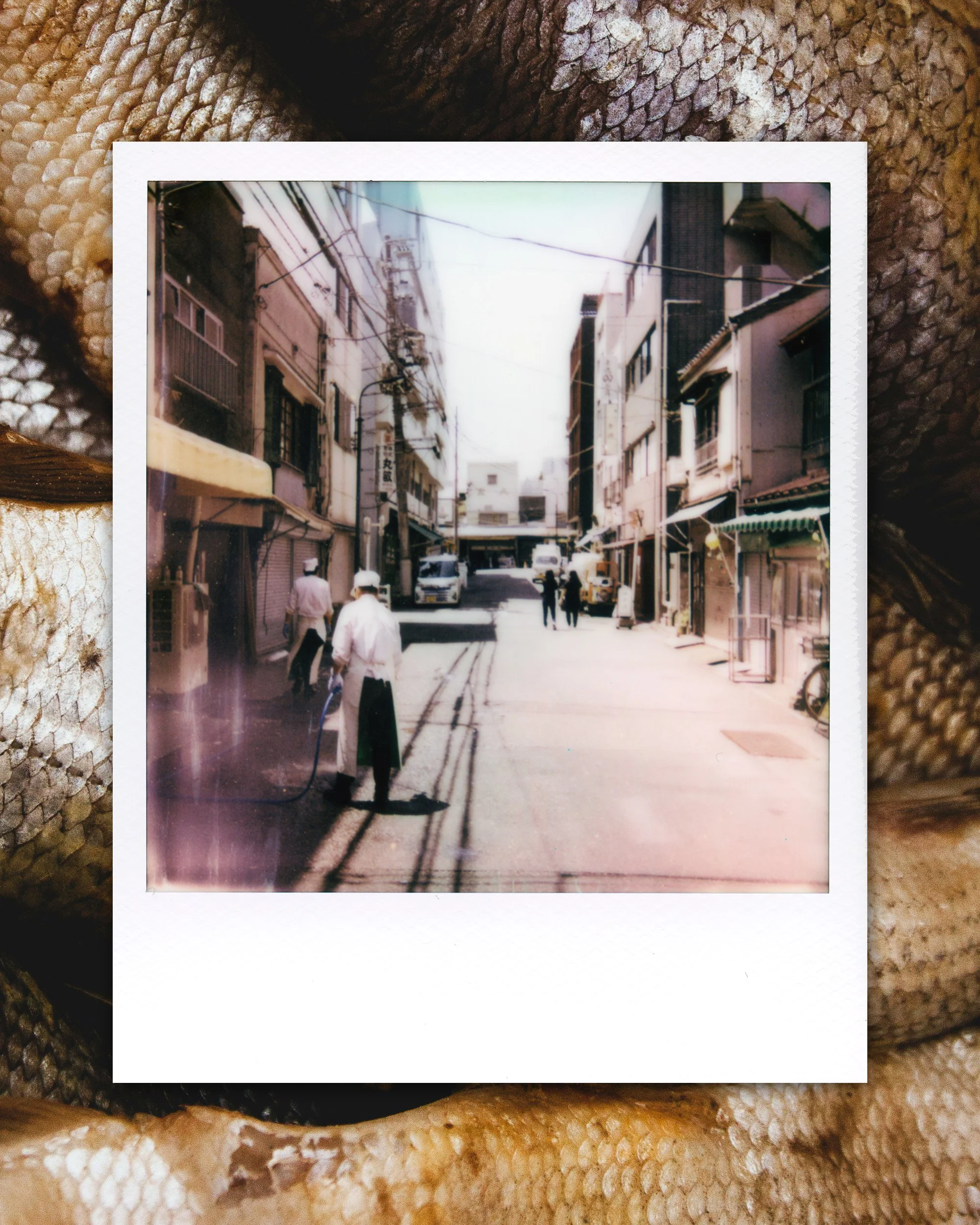 Tsukiji Market Tokyo Polaroid