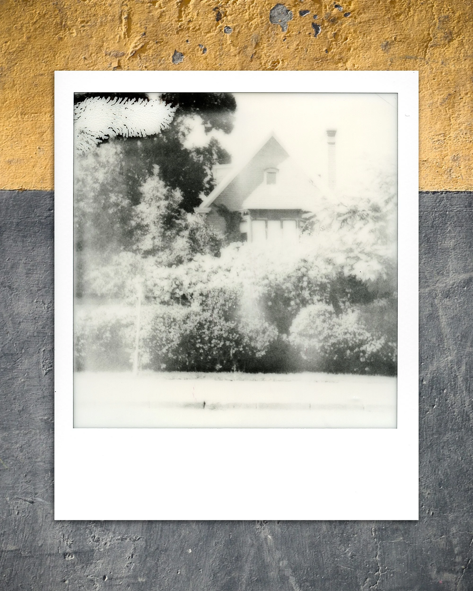 Santiago de Chile Providencia Polaroid