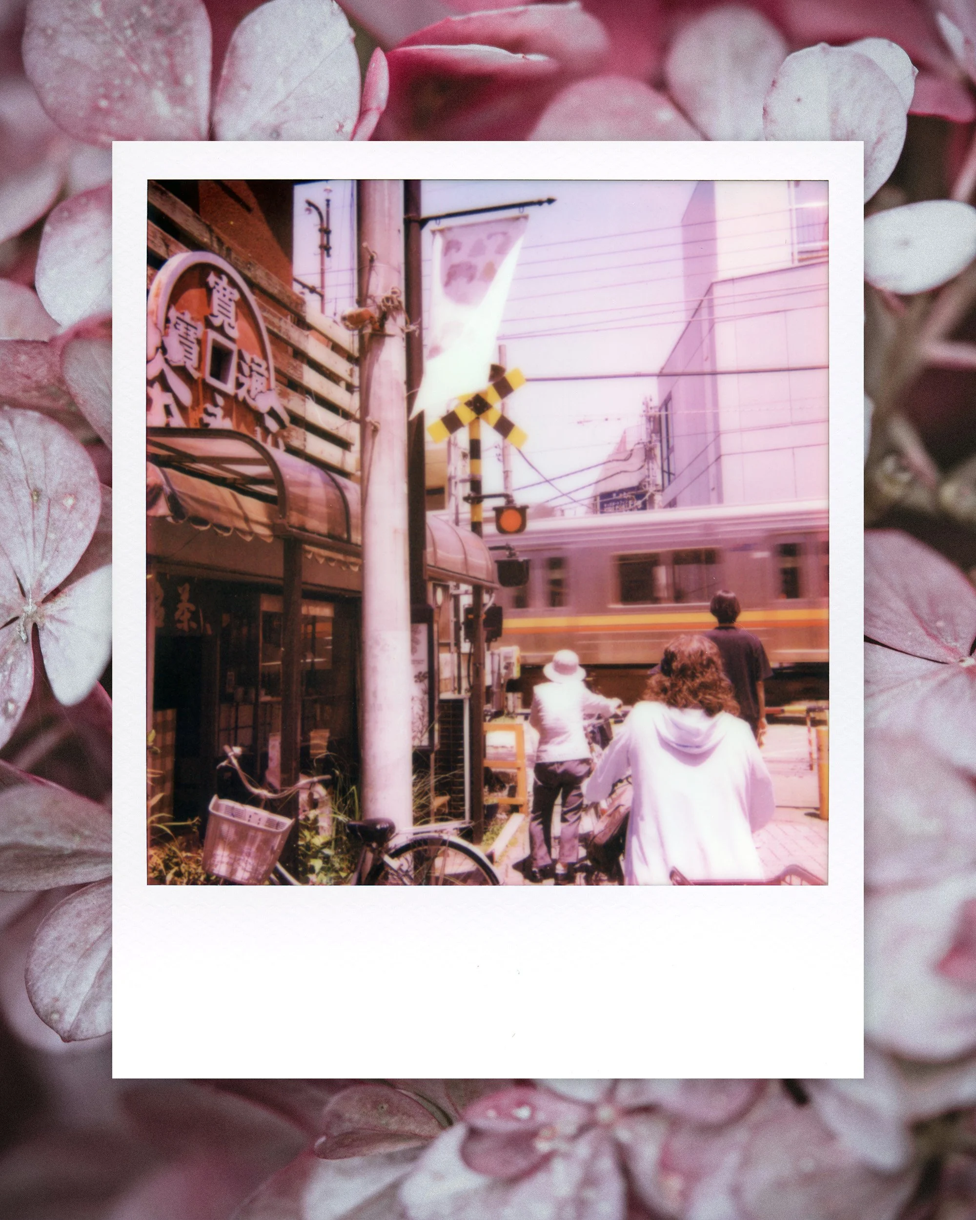 Inokashira Line Ajisai Tokyo Japan Polaroid