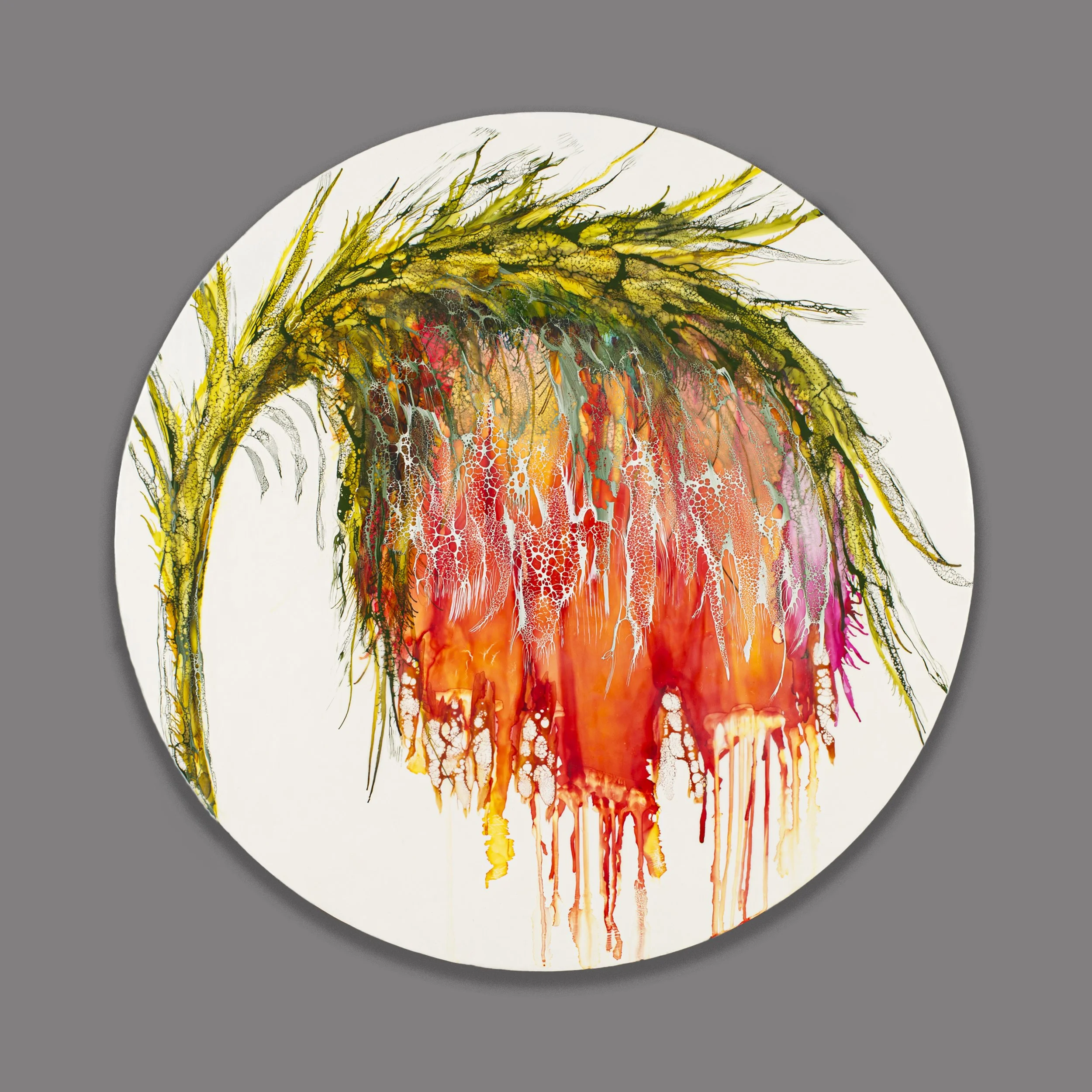 Red Joy Blooms In the Truffula Grove #2   30" round   encaustic & mixed media on wood panel    SOLD