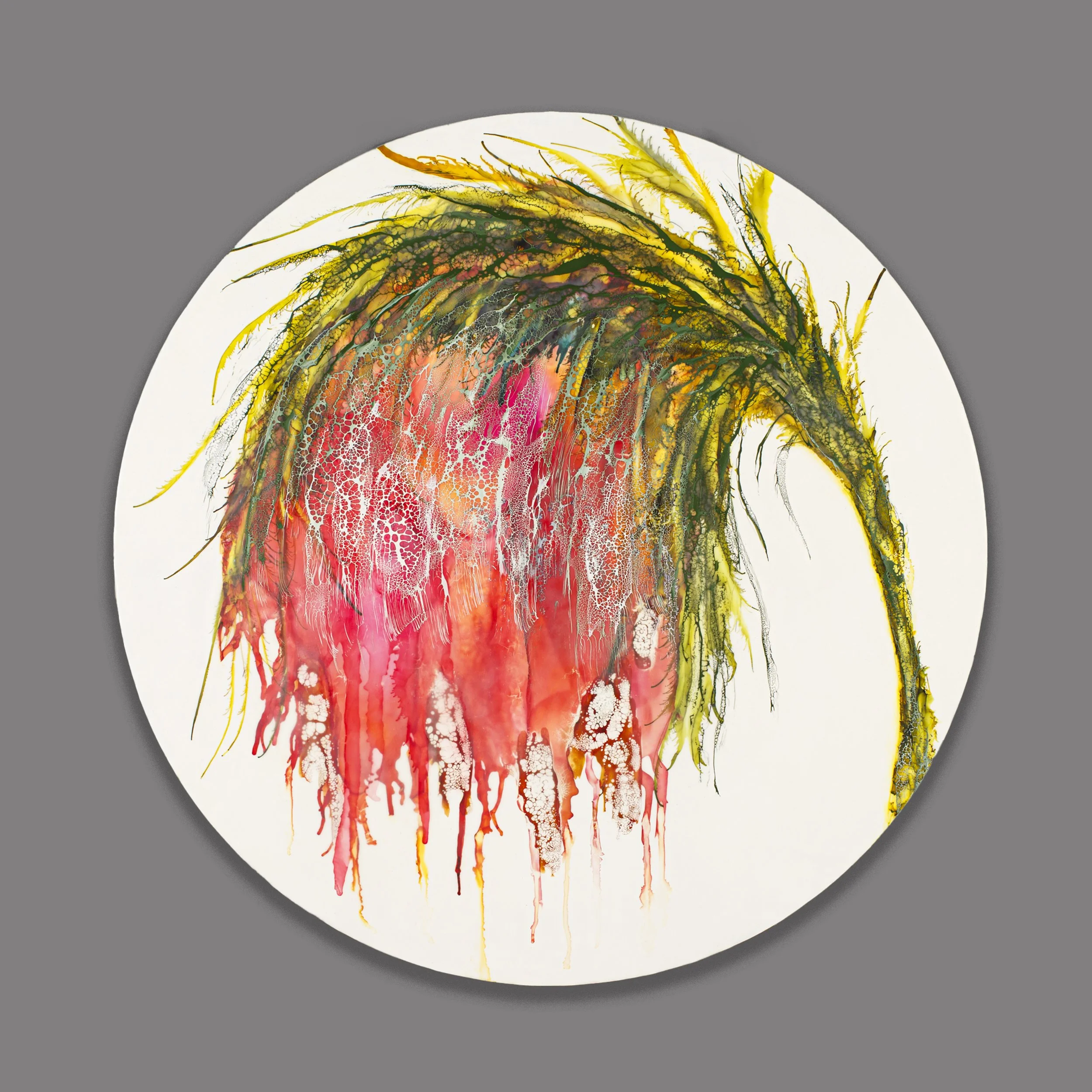 Red Joy Blooms In the Truffula Grove #1   30" round   encaustic & mixed media on wood panel    SOLD