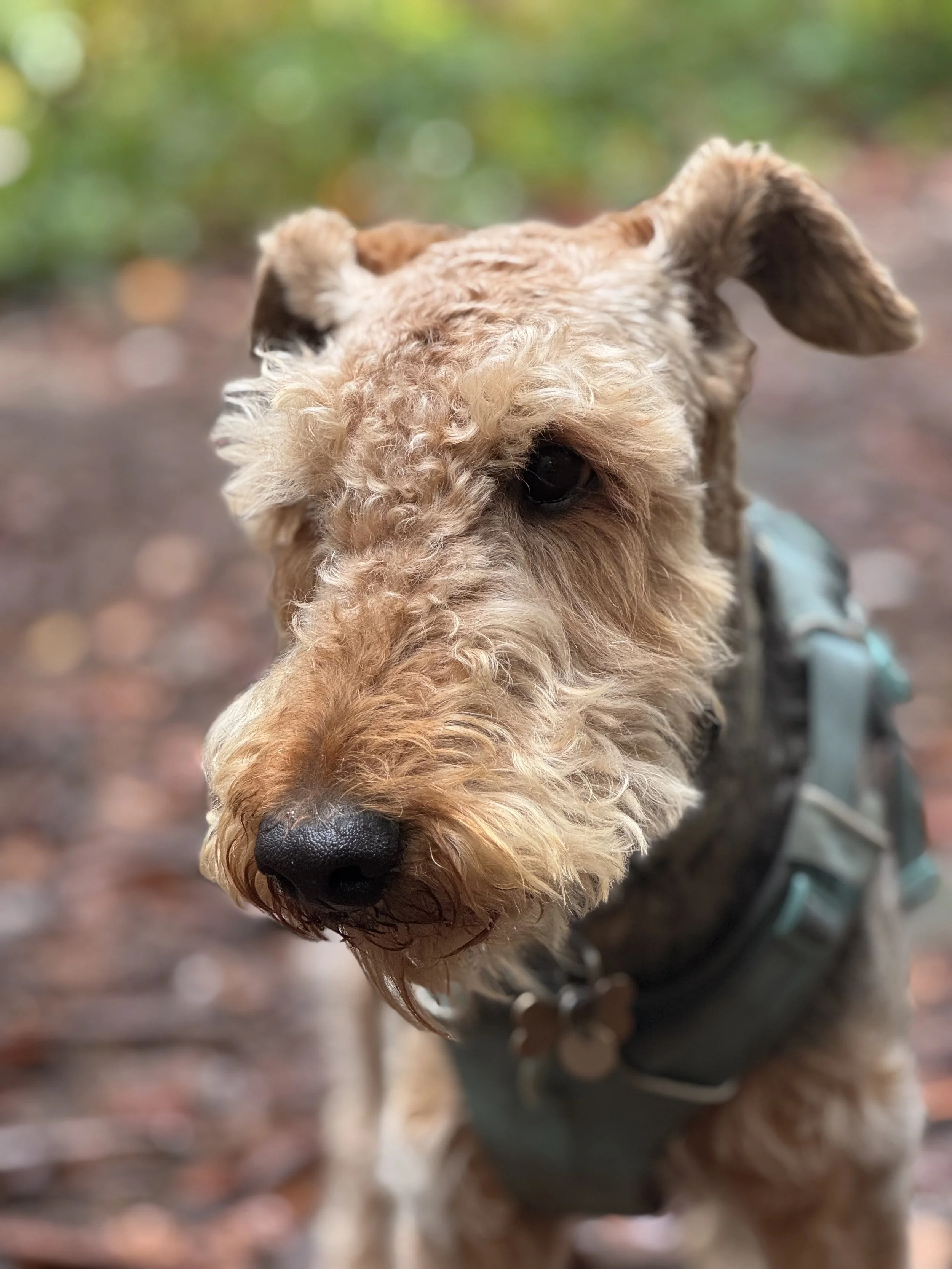 Ten ways to suffer less - part 5 