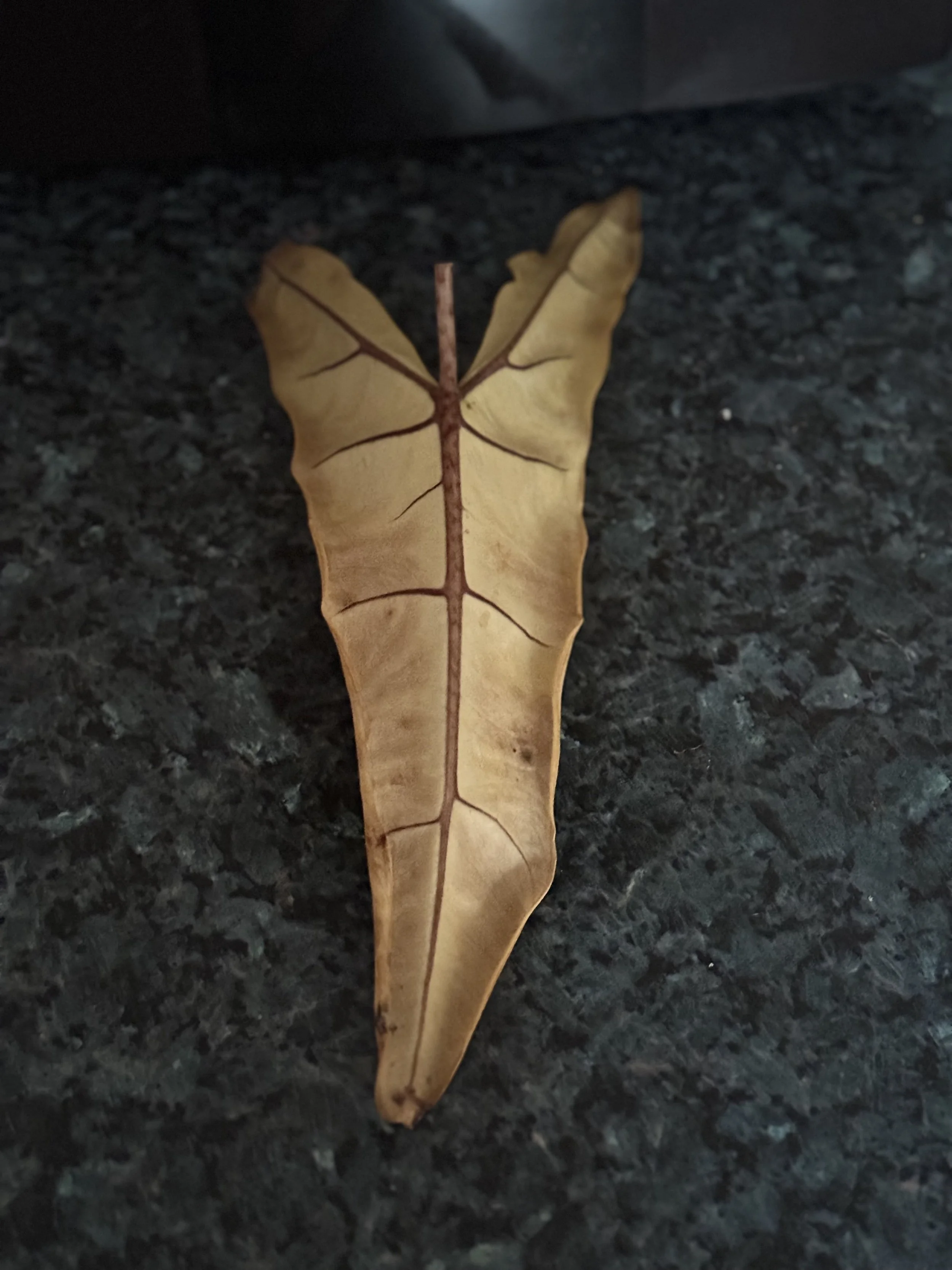 How to suffer less parts 6 to 10!