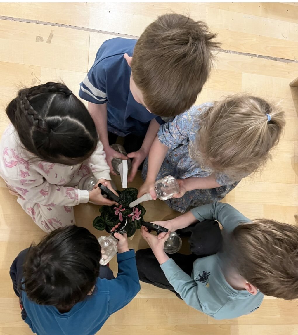 In Room 6 we are celebrating the beginning of spring through the exploration of plants. As the children&rsquo;s observational skills and abilities to care for themselves and each other grows, they have been inspired to reach out to our school communi