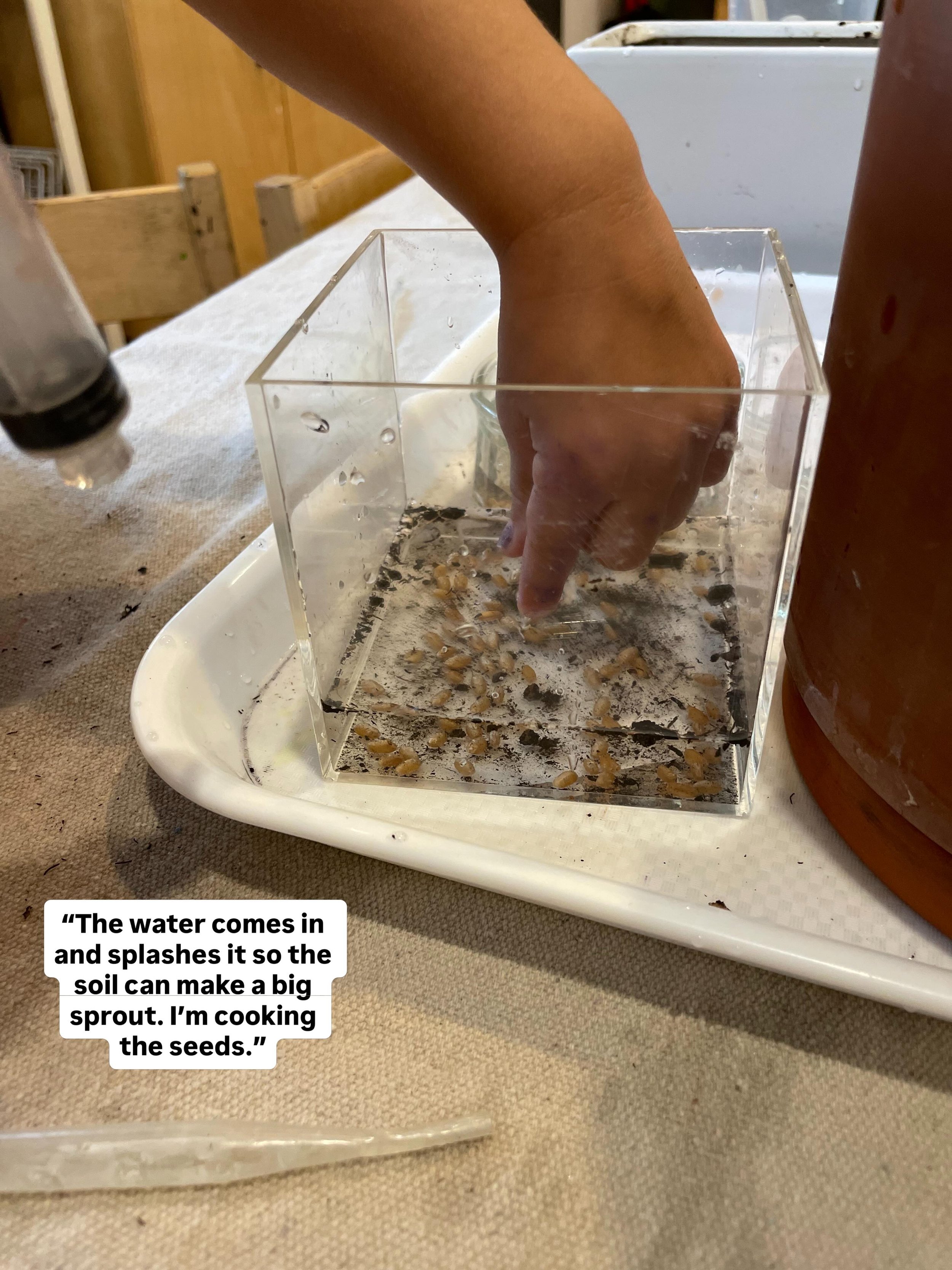 A snapshot of recent invitations in the Ericsson Atelier&hellip; 🌱

The 2s &amp; 3s have been hard at work tending to seeds and sprouts. As greenery springs up all around us, these open-ended provocations have been an opportunity for the children to