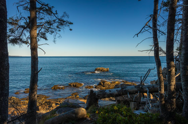 Protect public lands