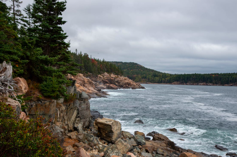 Fight climate change with conservation