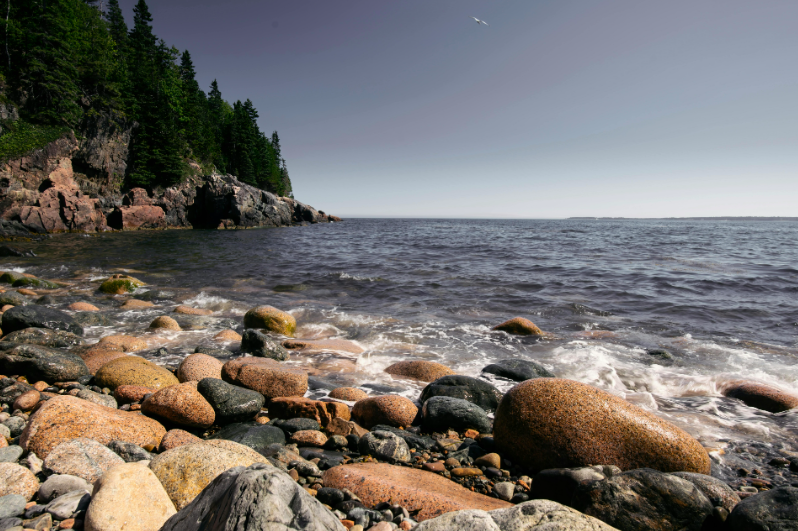 Maine must not allow itself to be compromised by AI