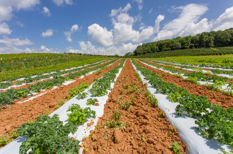 Back LD 928, protect food sources for future generations