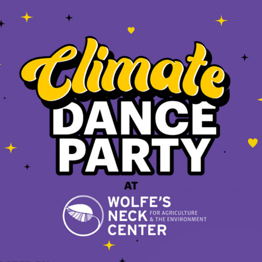 Climate Dance Party