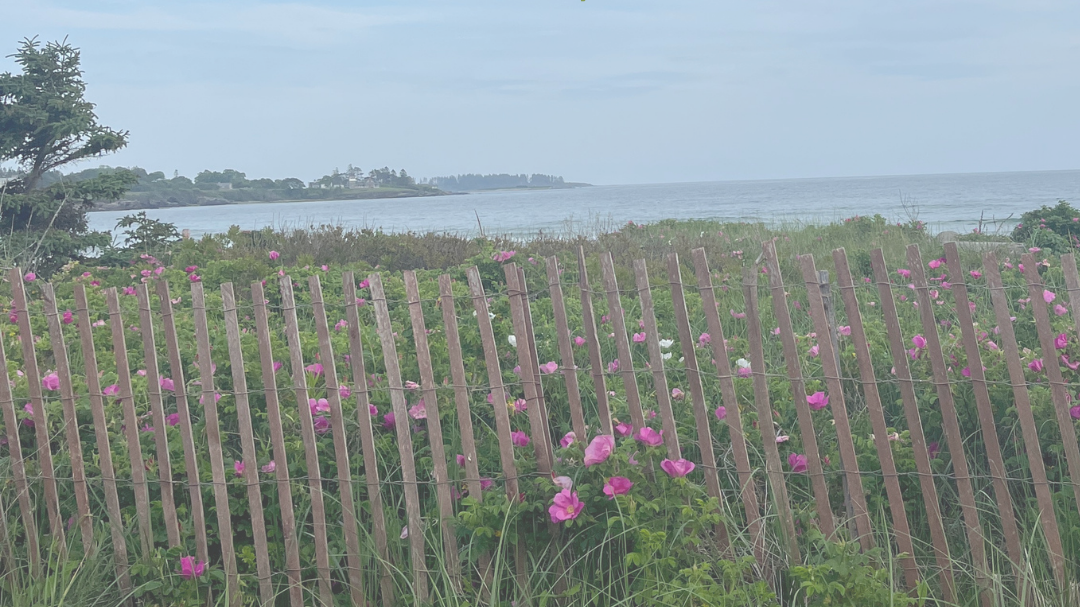 Maine Climate News, June 16