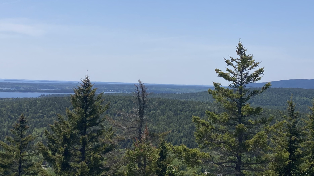 Maine Climate News, July 1