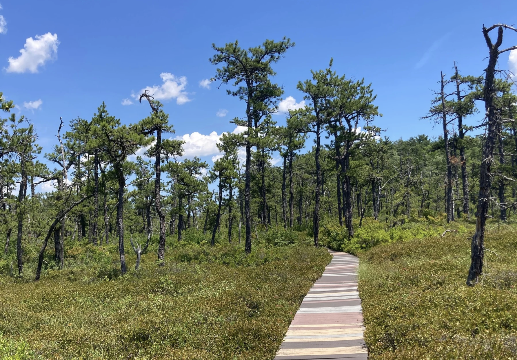 Maine Climate News, July 21