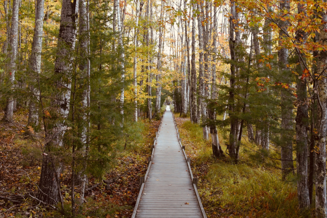 Maine Climate News, September 25