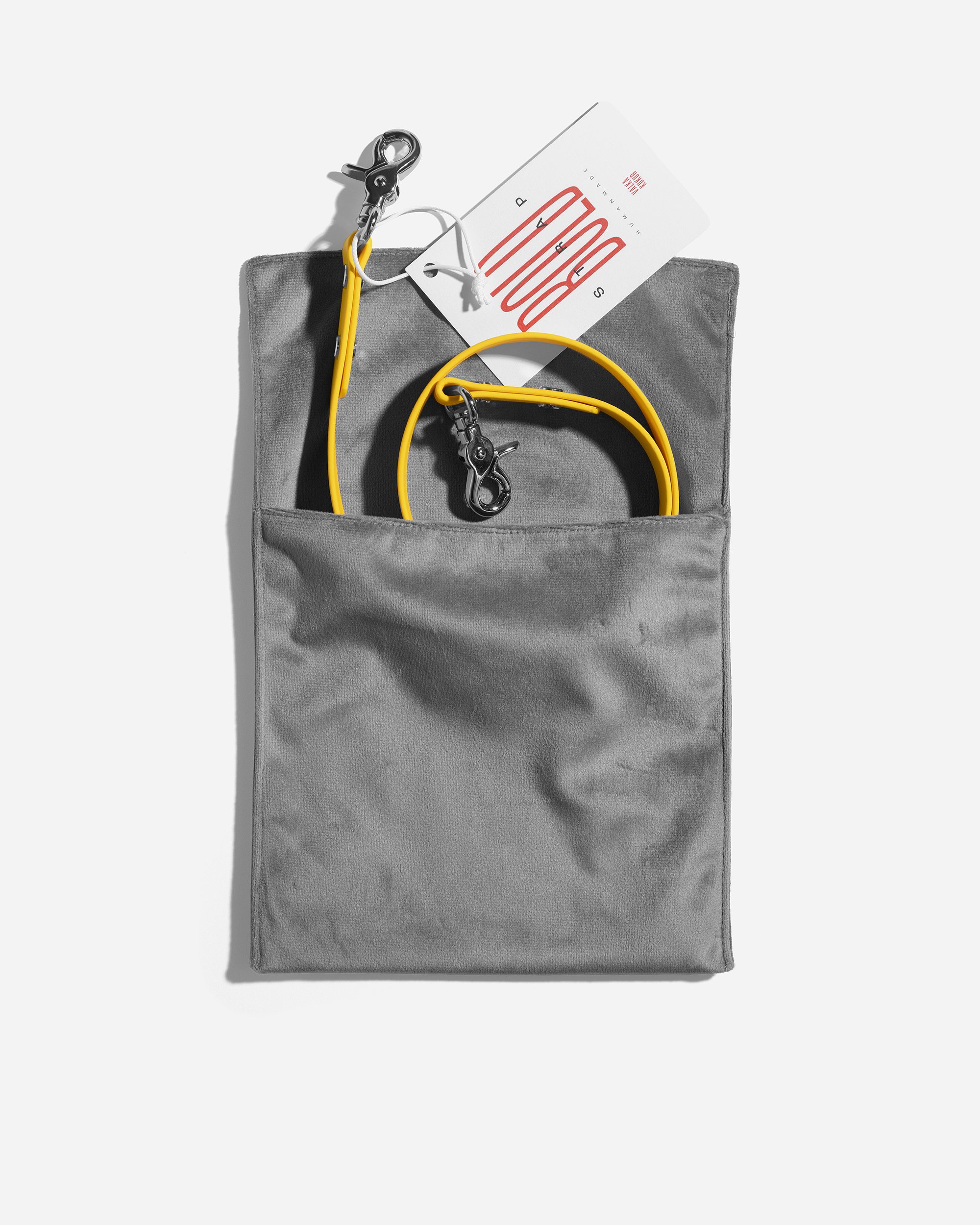 DESERT GOLD STRAP IN POUCH copy.jpg