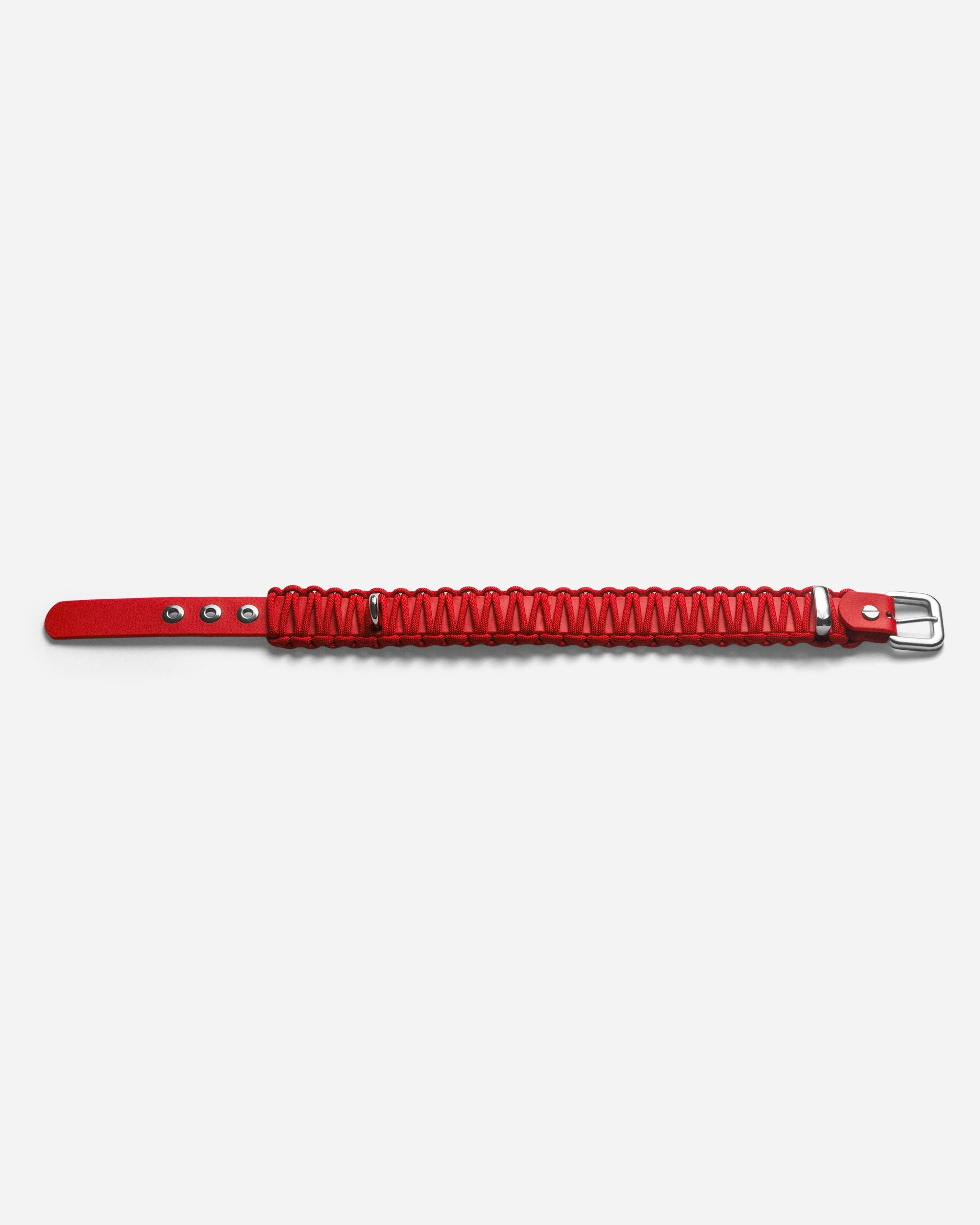 PARTY RED COLLAR 2.jpg