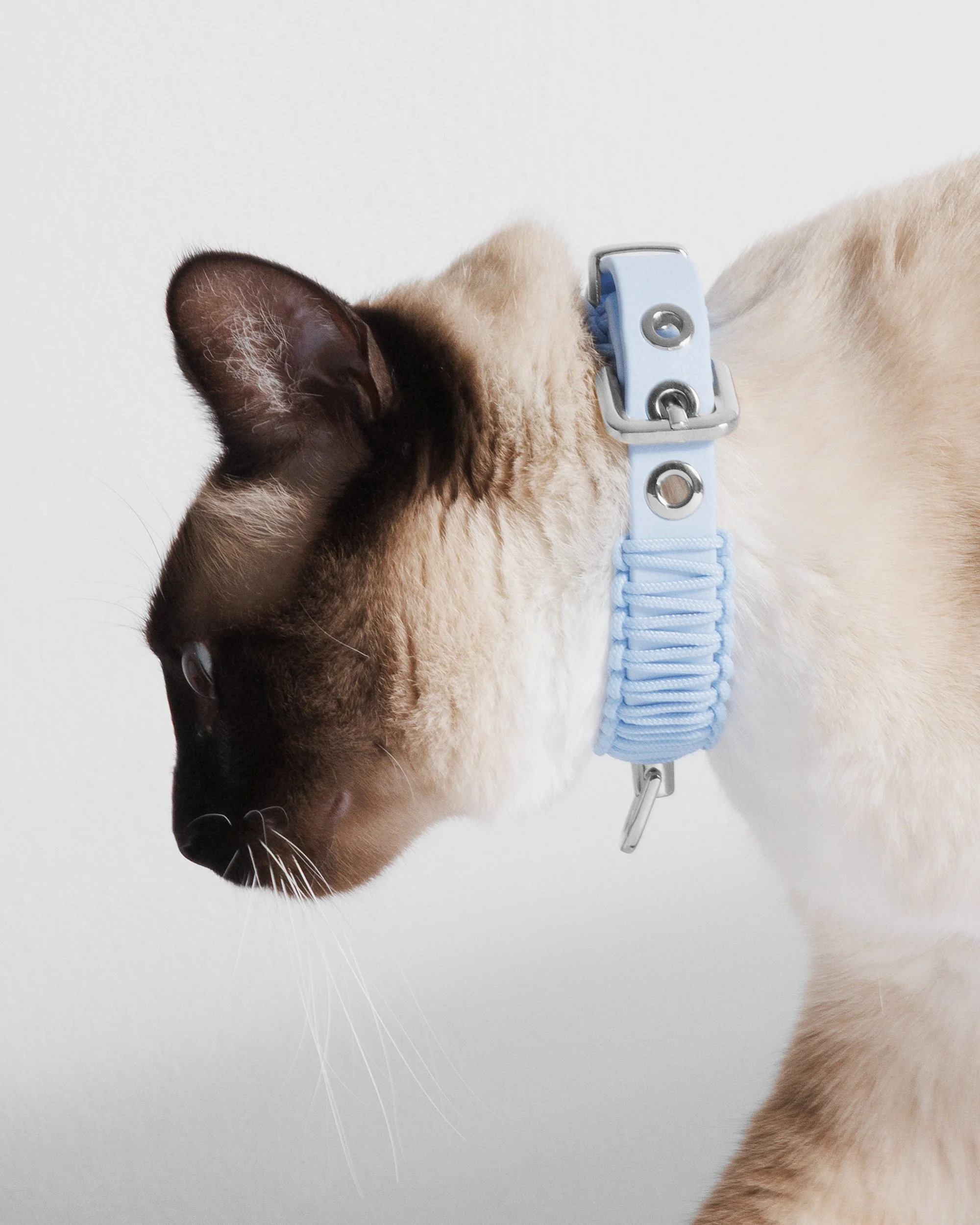 Baby Blue Martina 3.jpg