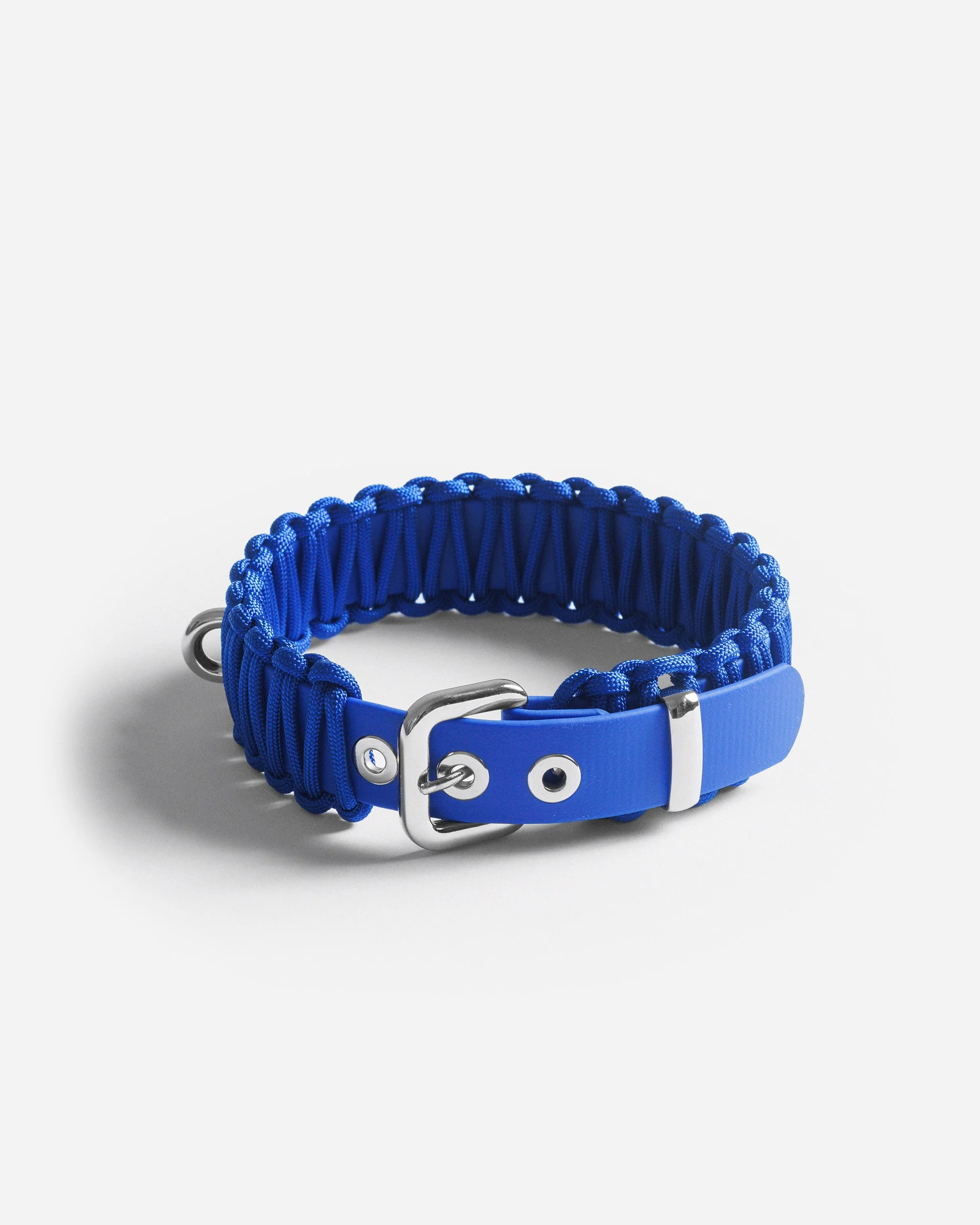 BOLD COLLAR in Royal Blue