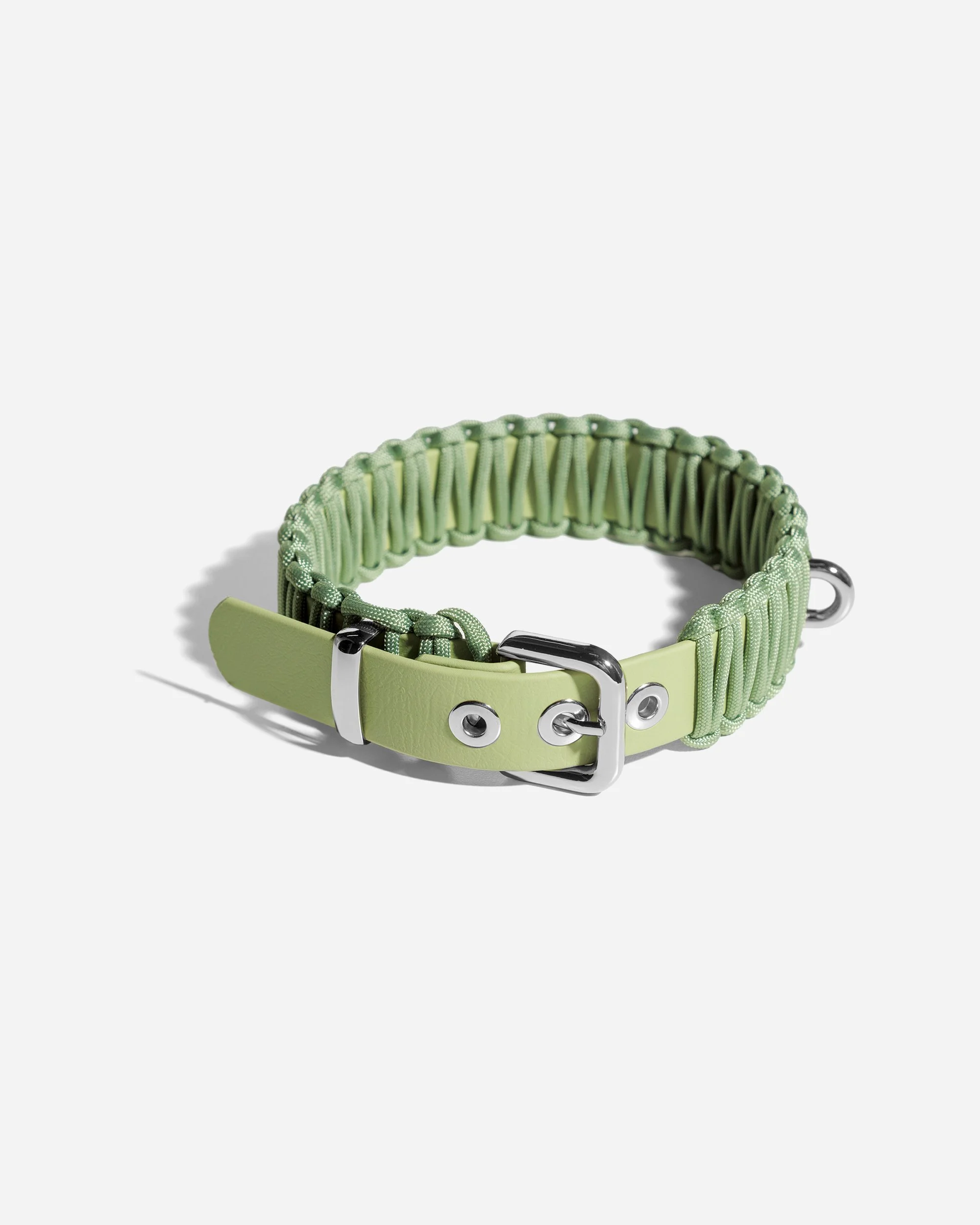 sage custom collar.jpg