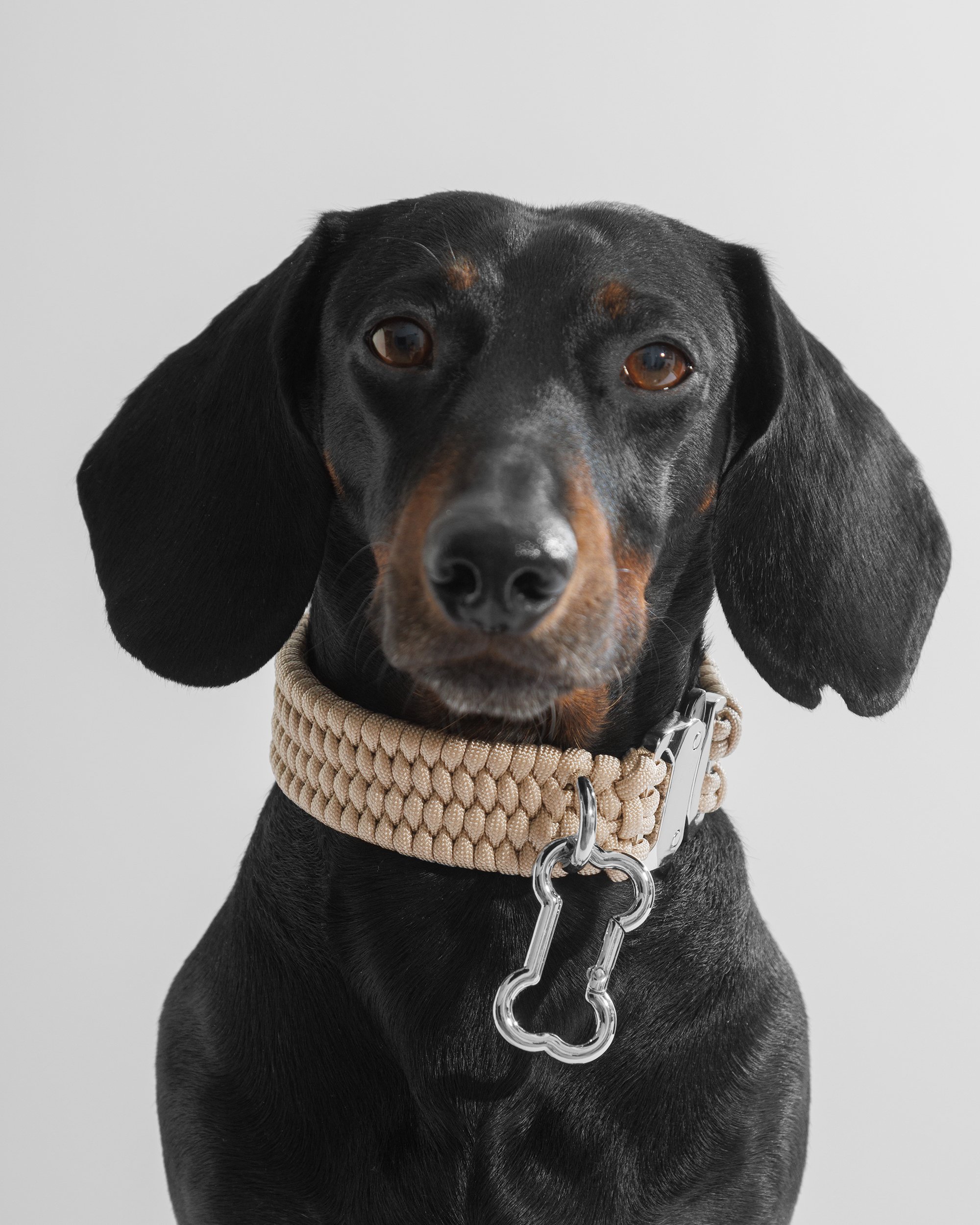 BOLD Collar in Creme de la Crem on Parker portrait.jpg