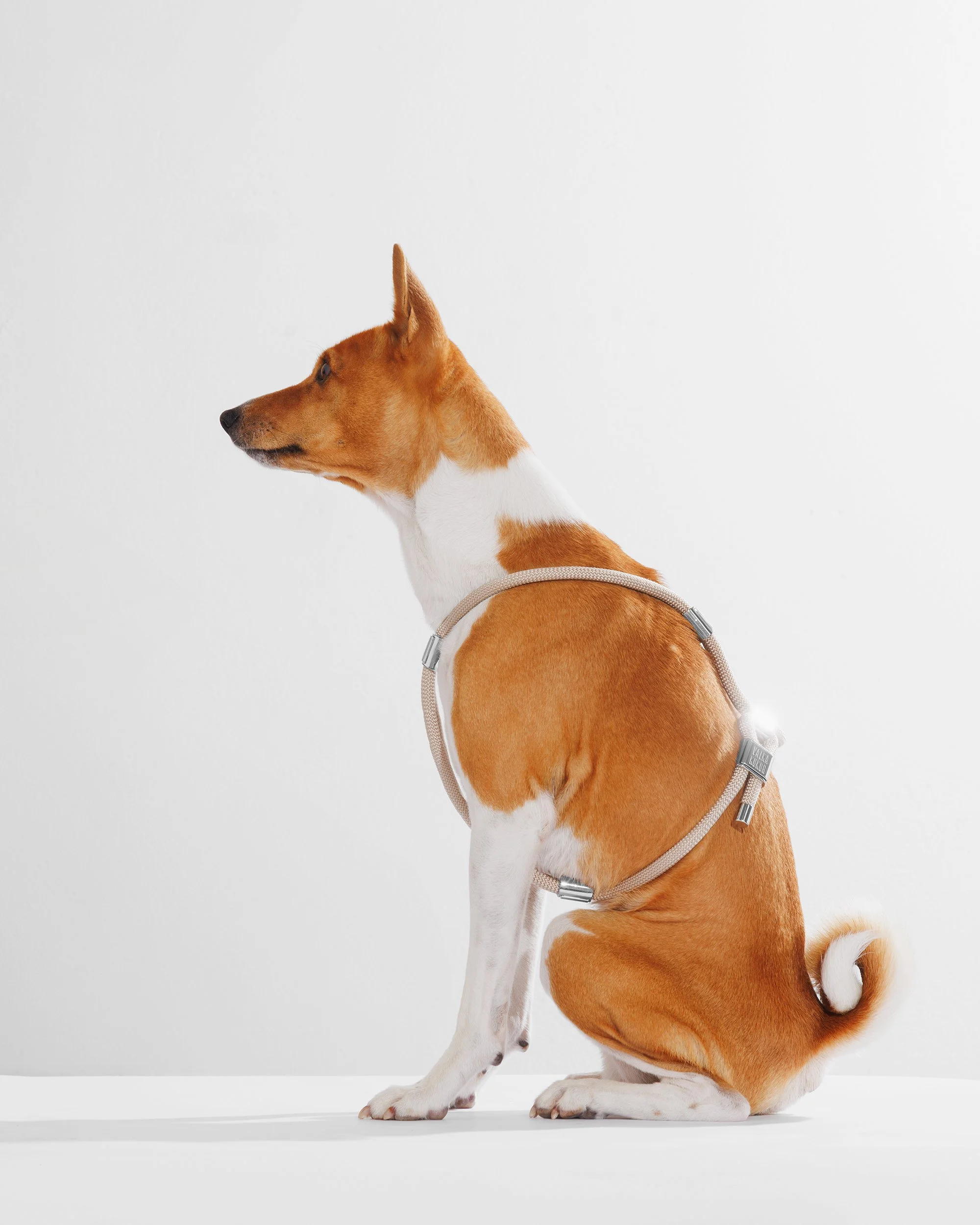 Creme de la Creme Harness 5.jpg