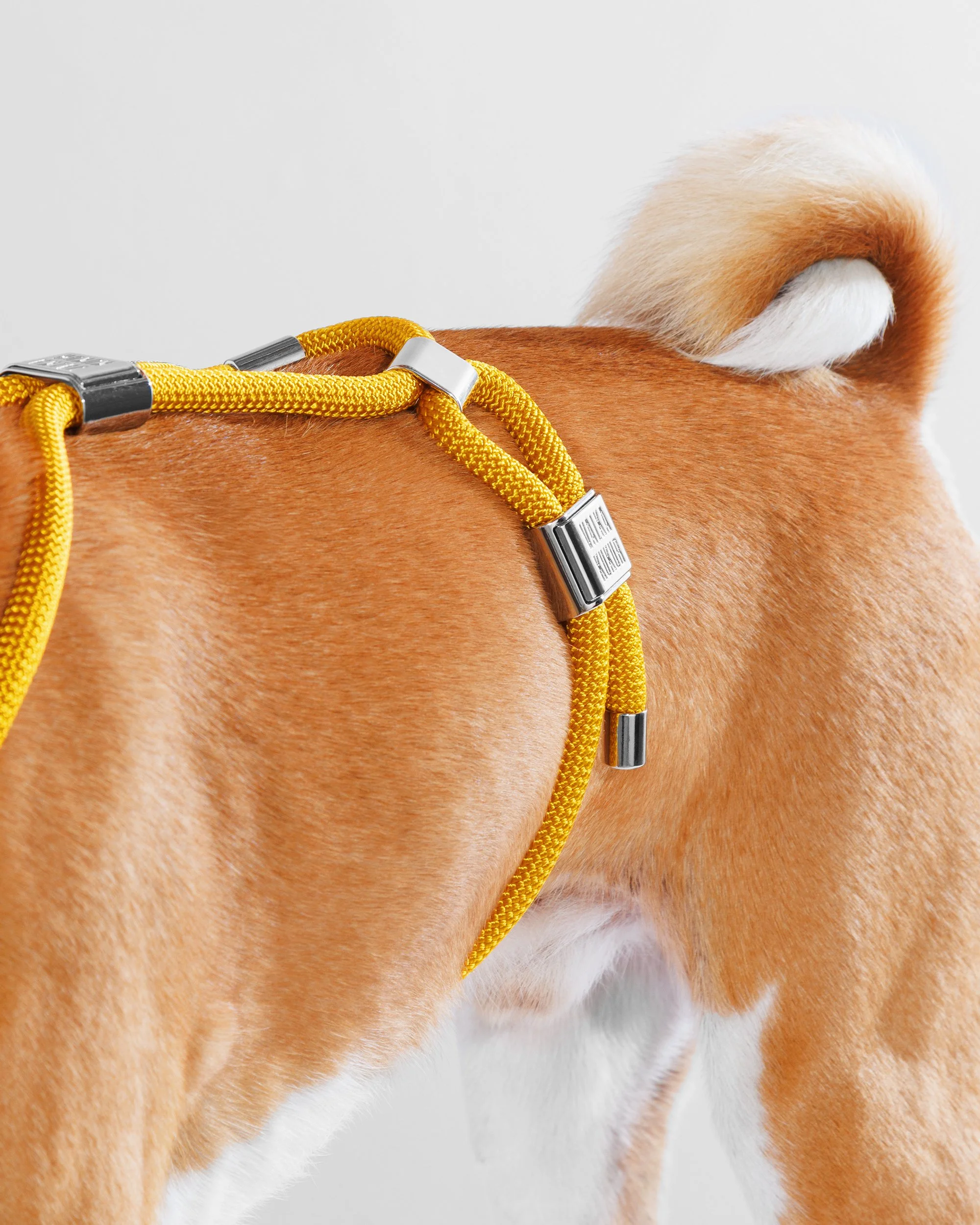 Desert Gold Harness 5.jpg