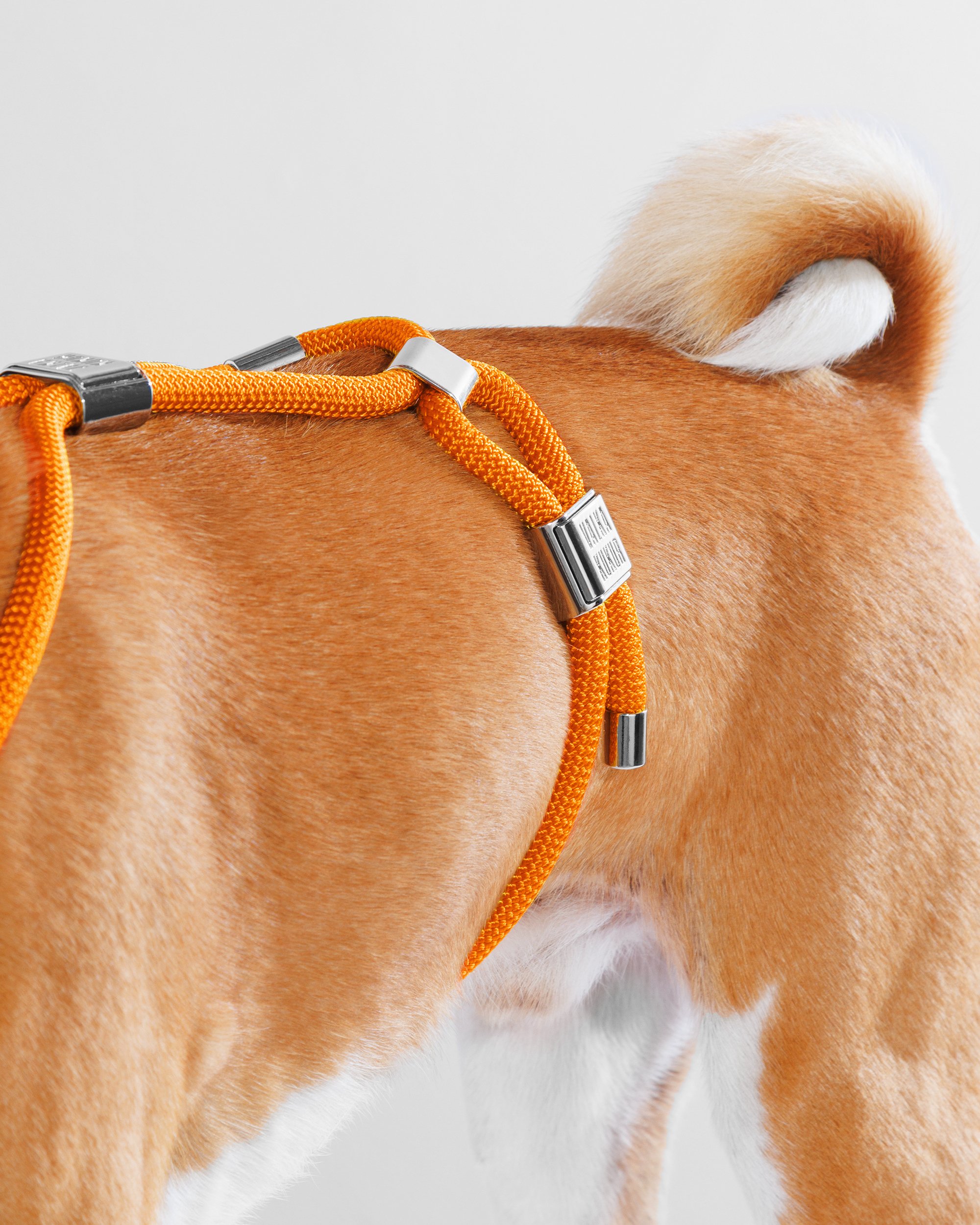 Juicy Harness 2.jpg