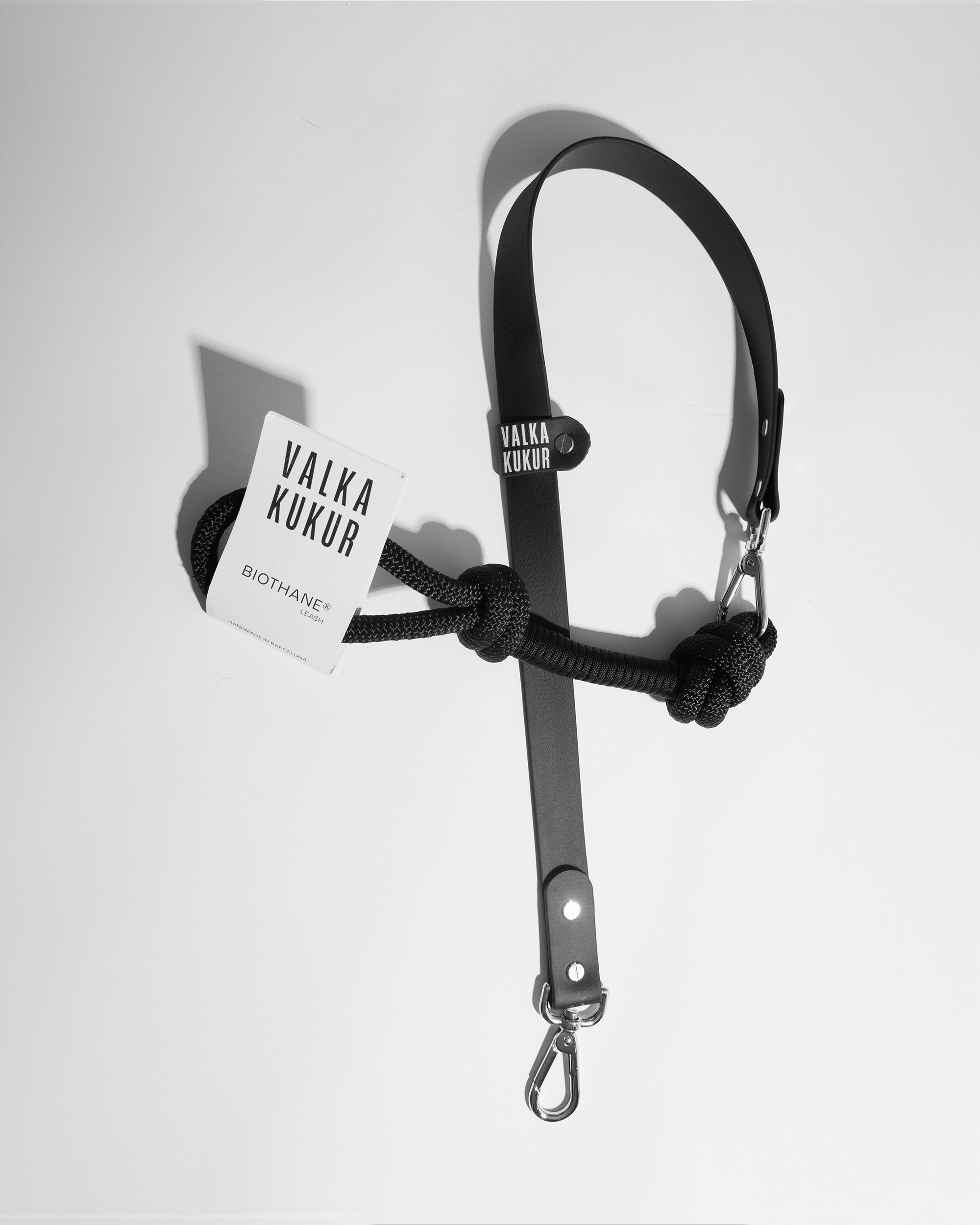 Midnight leash 1.jpg