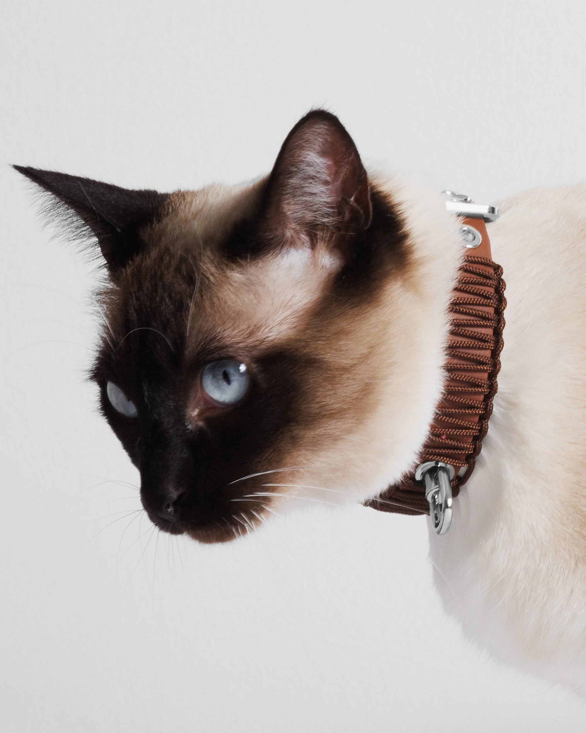 Walnut Martina 5.jpg