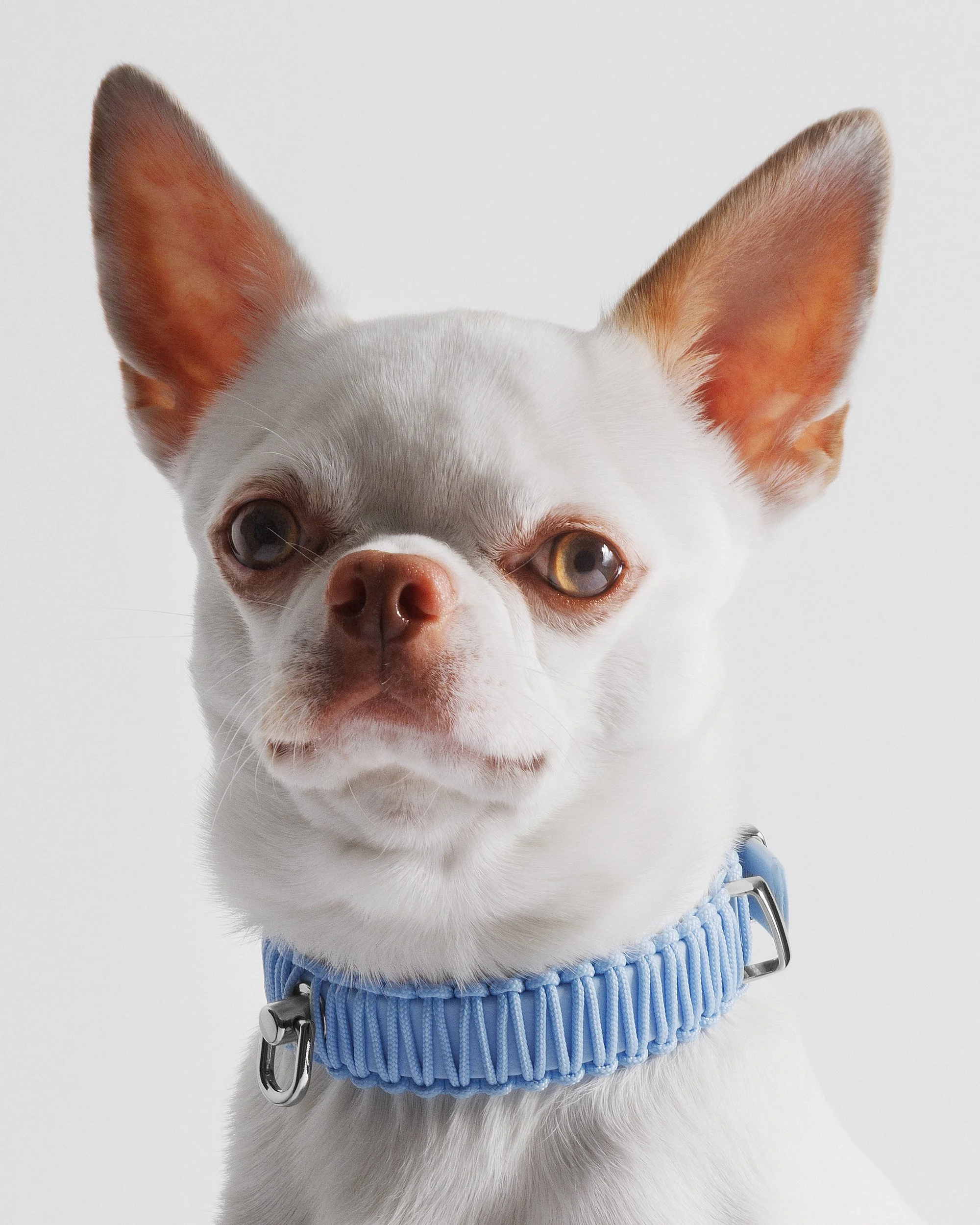 Baby Blue Moses 3.jpg