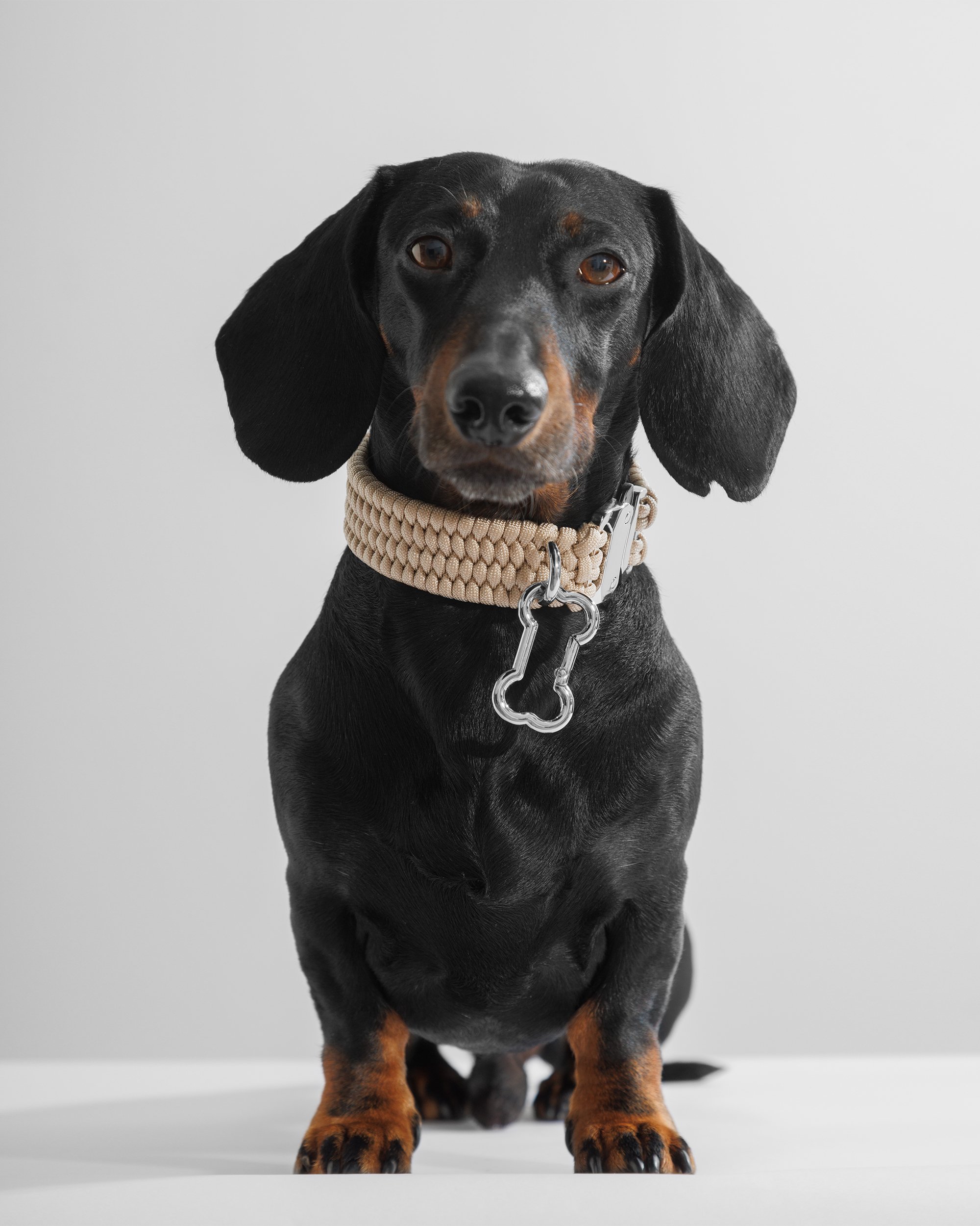 BOLD Collar in Creme de la Crem on Parker.jpg