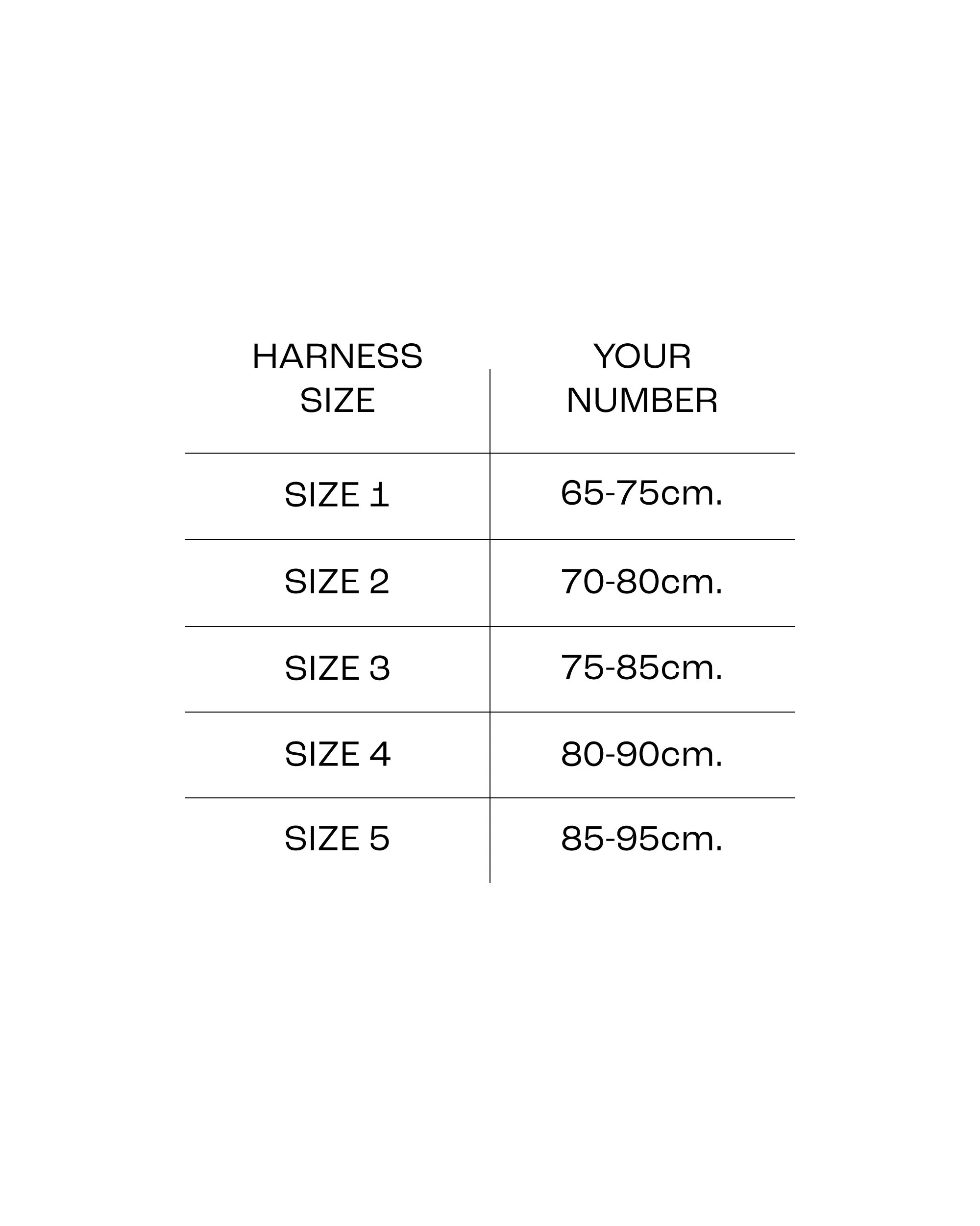 size harness.jpg
