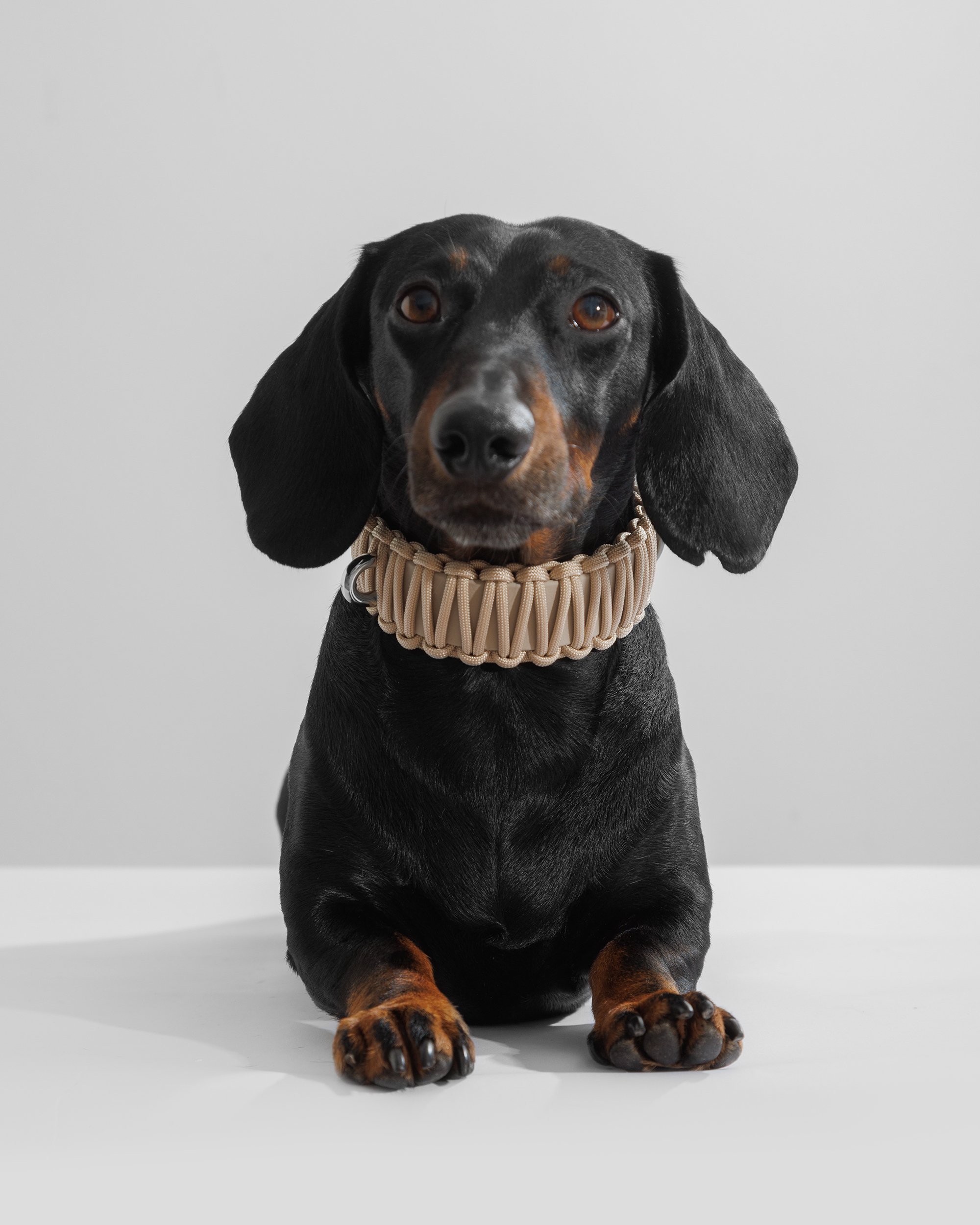 GALAN Collar in Creme de la Creme on Parker.jpg