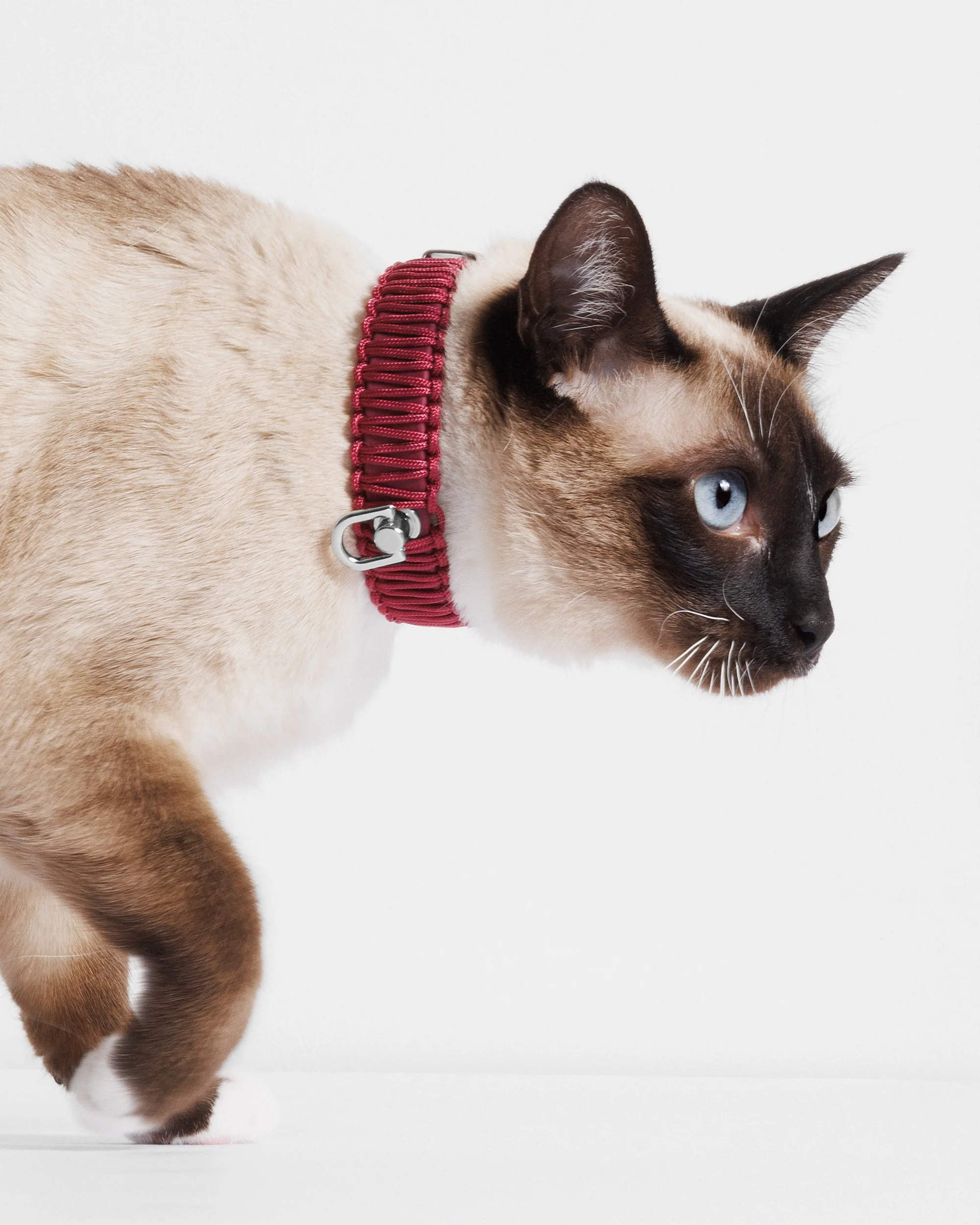 Berry me Martina 5.jpg