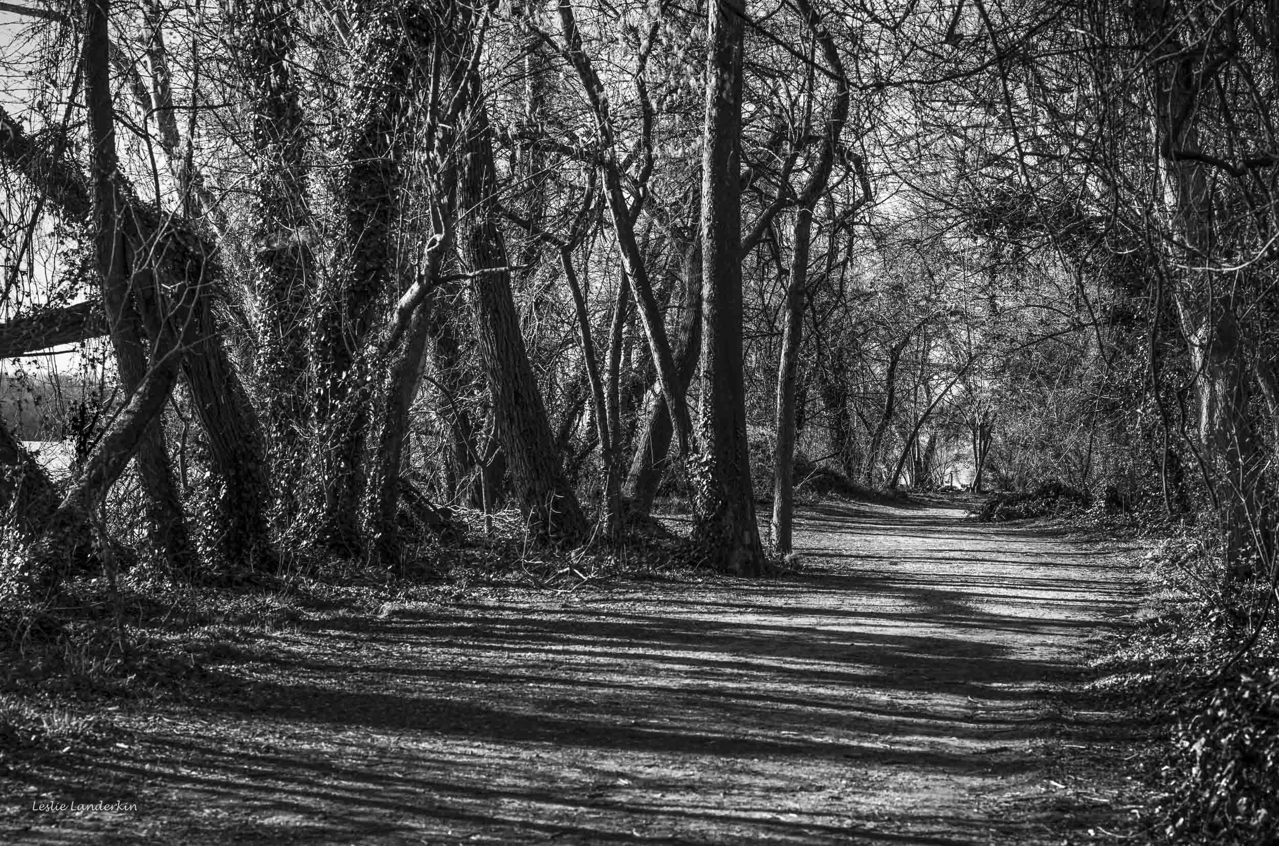 Jones Point 032224-8-Edit.jpg