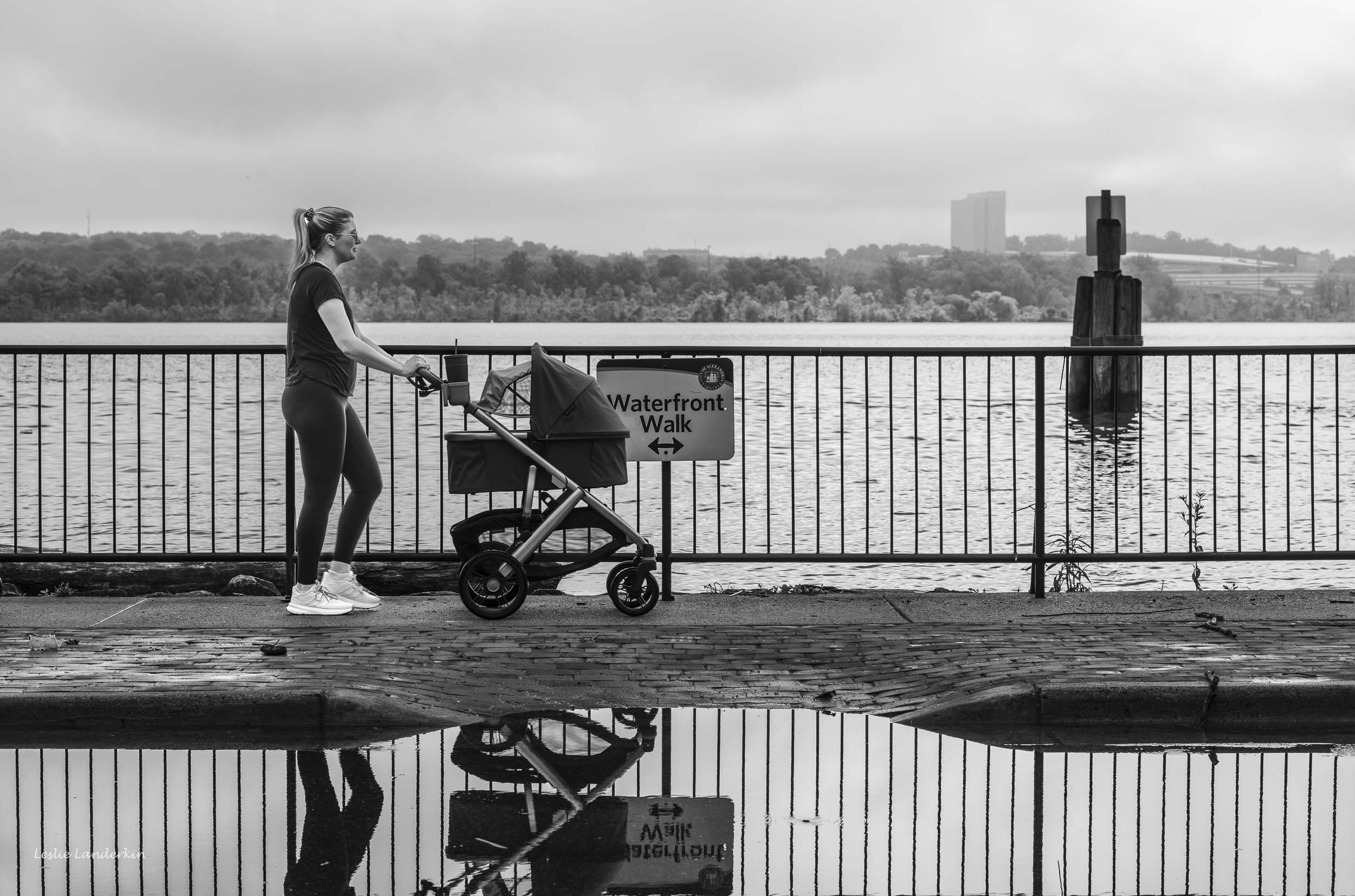 Alexandria Less Seen