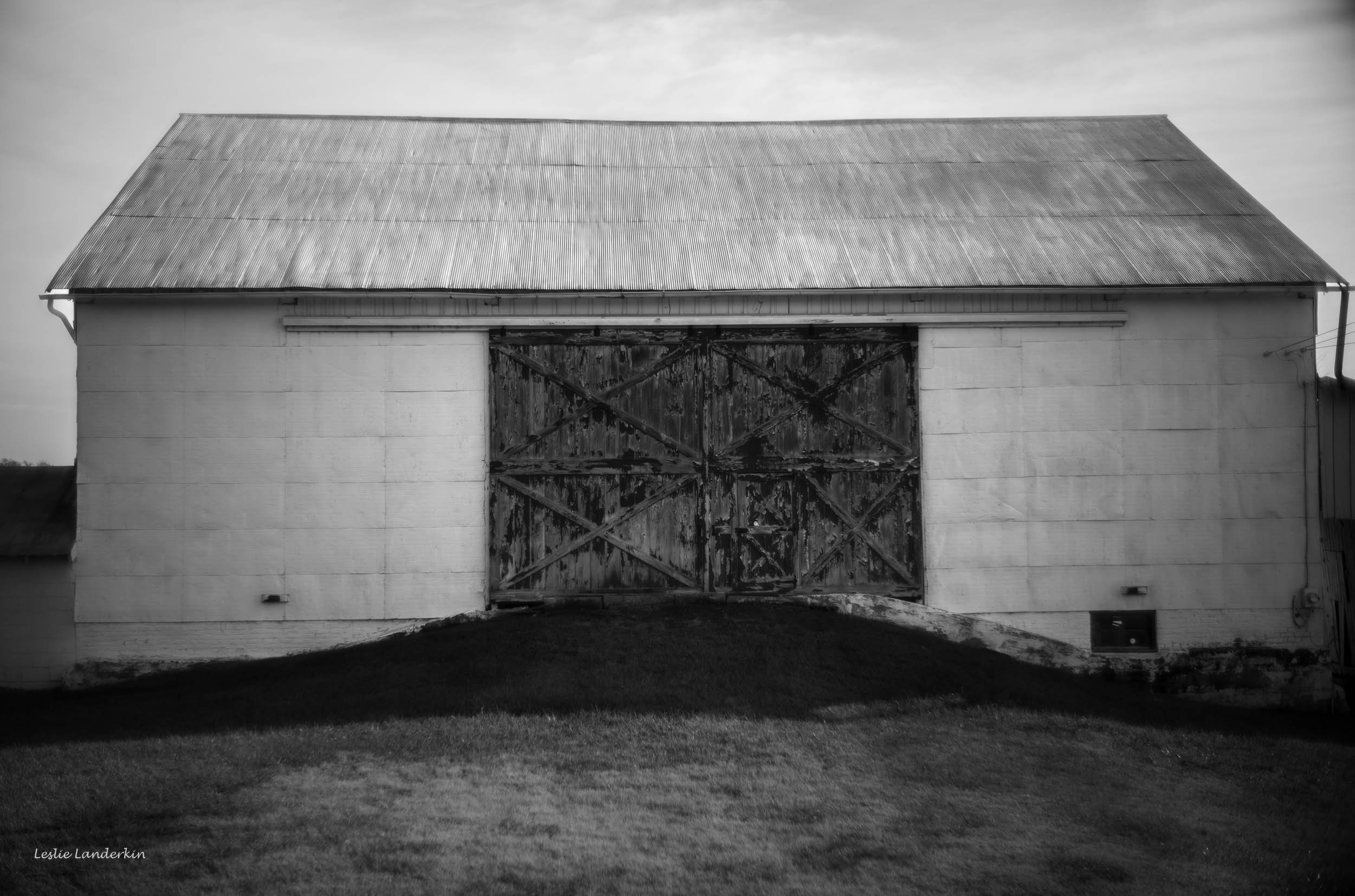 Lucketts 111824-6.jpg