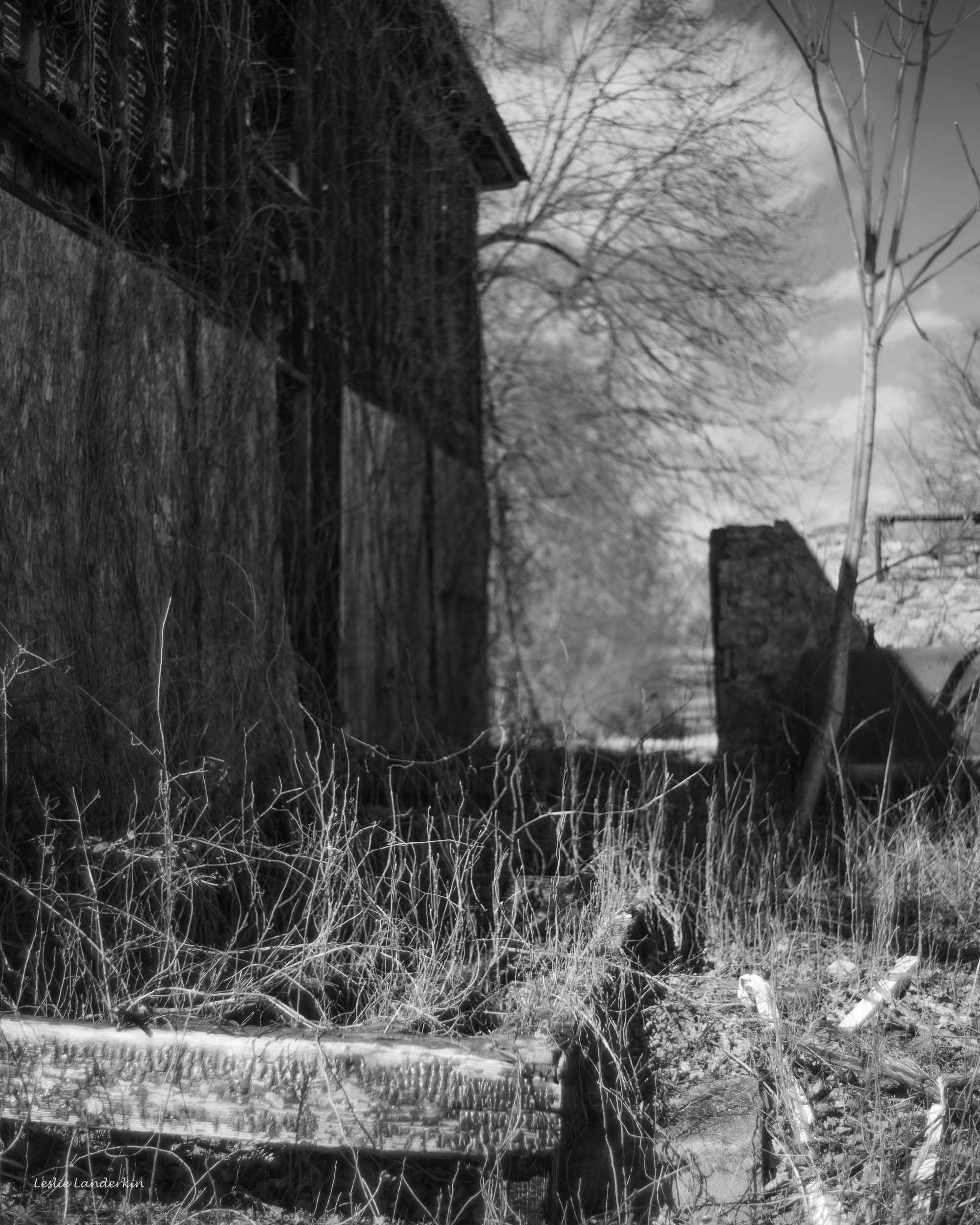 Lucketts Barn-20.jpg