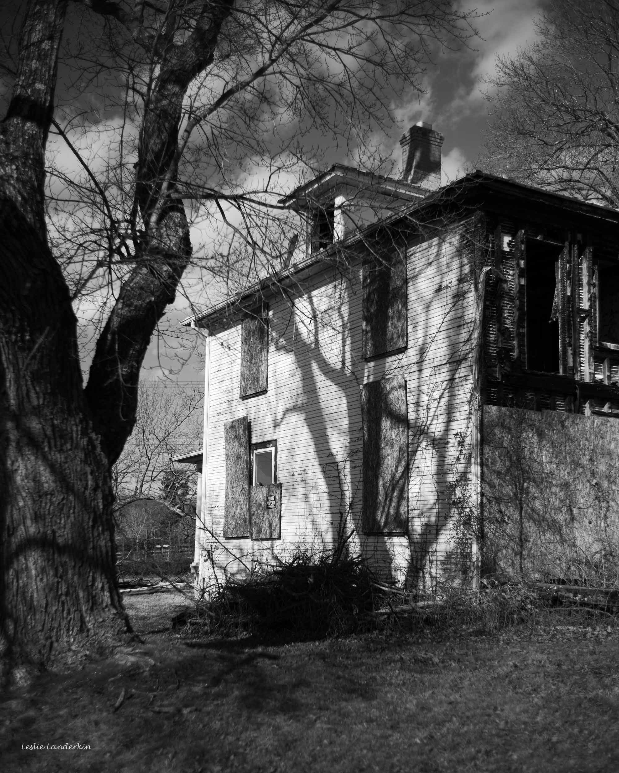 Lucketts 012825-15.jpg