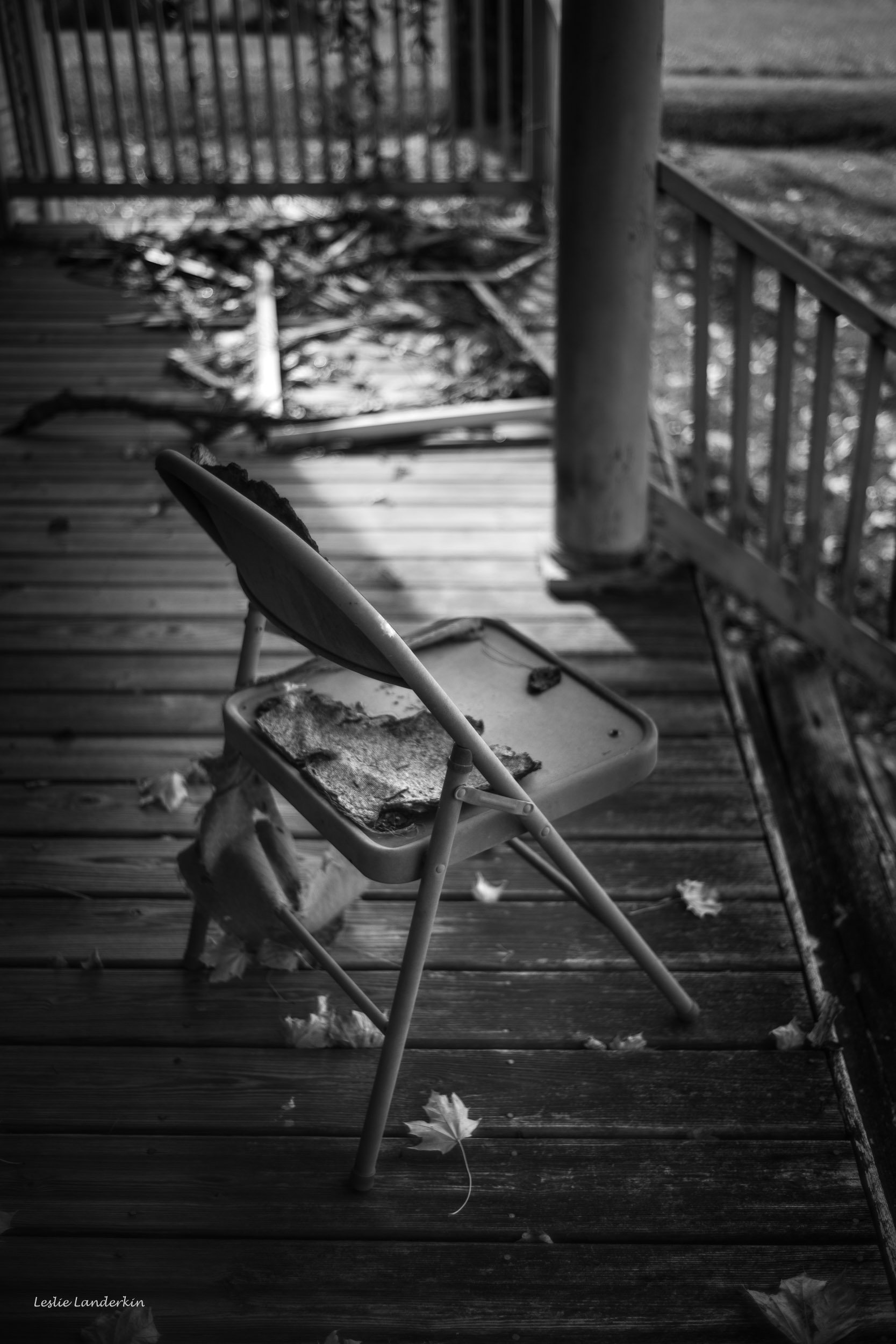 Lucketts 111824-45.jpg