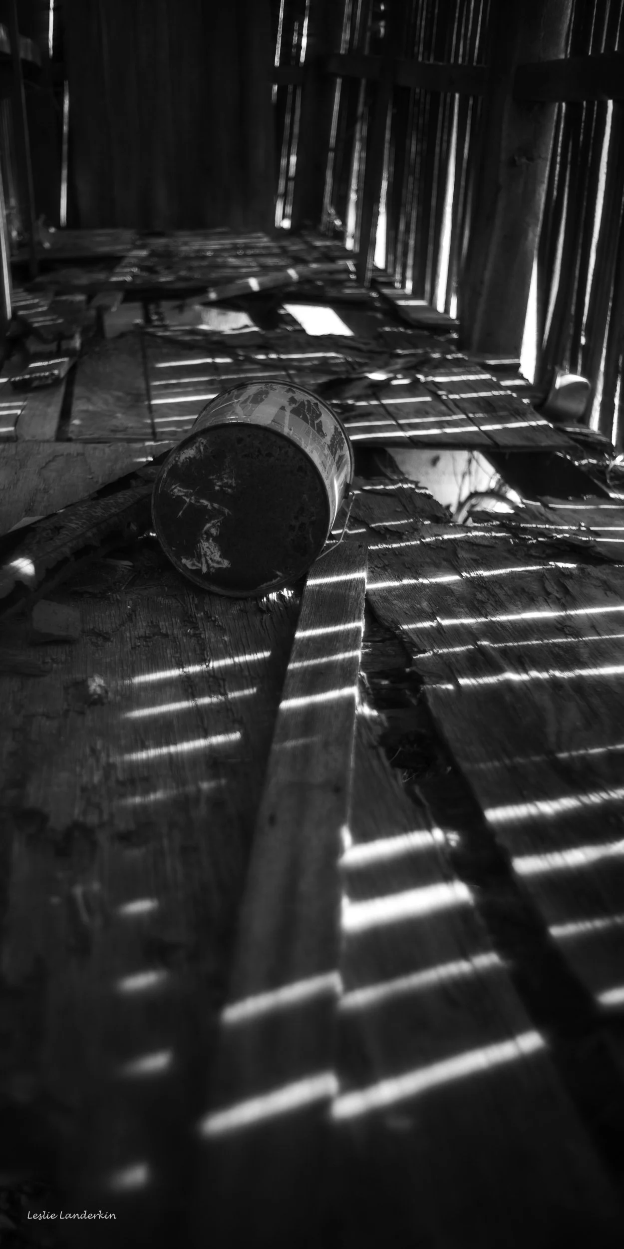 Lucketts 111824-62.jpg