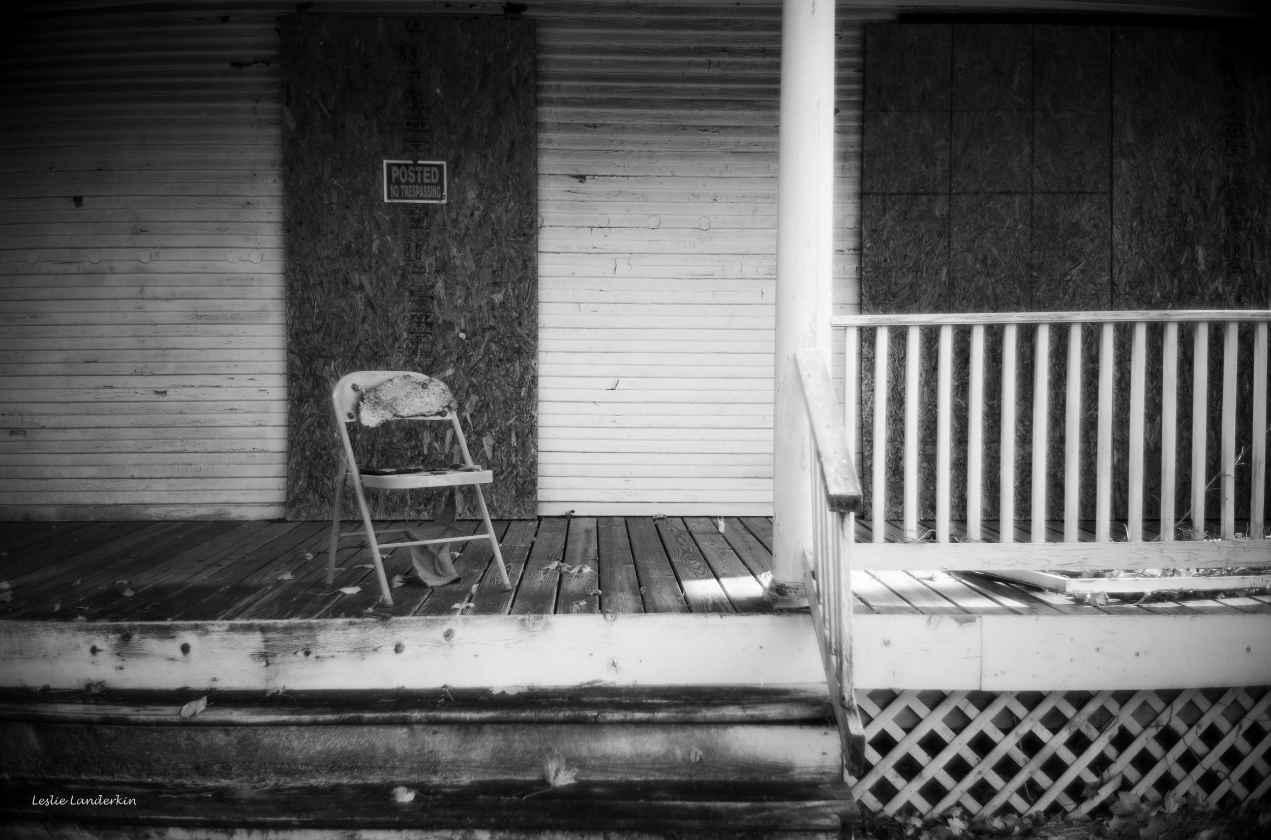 Lucketts 111824-52.jpg