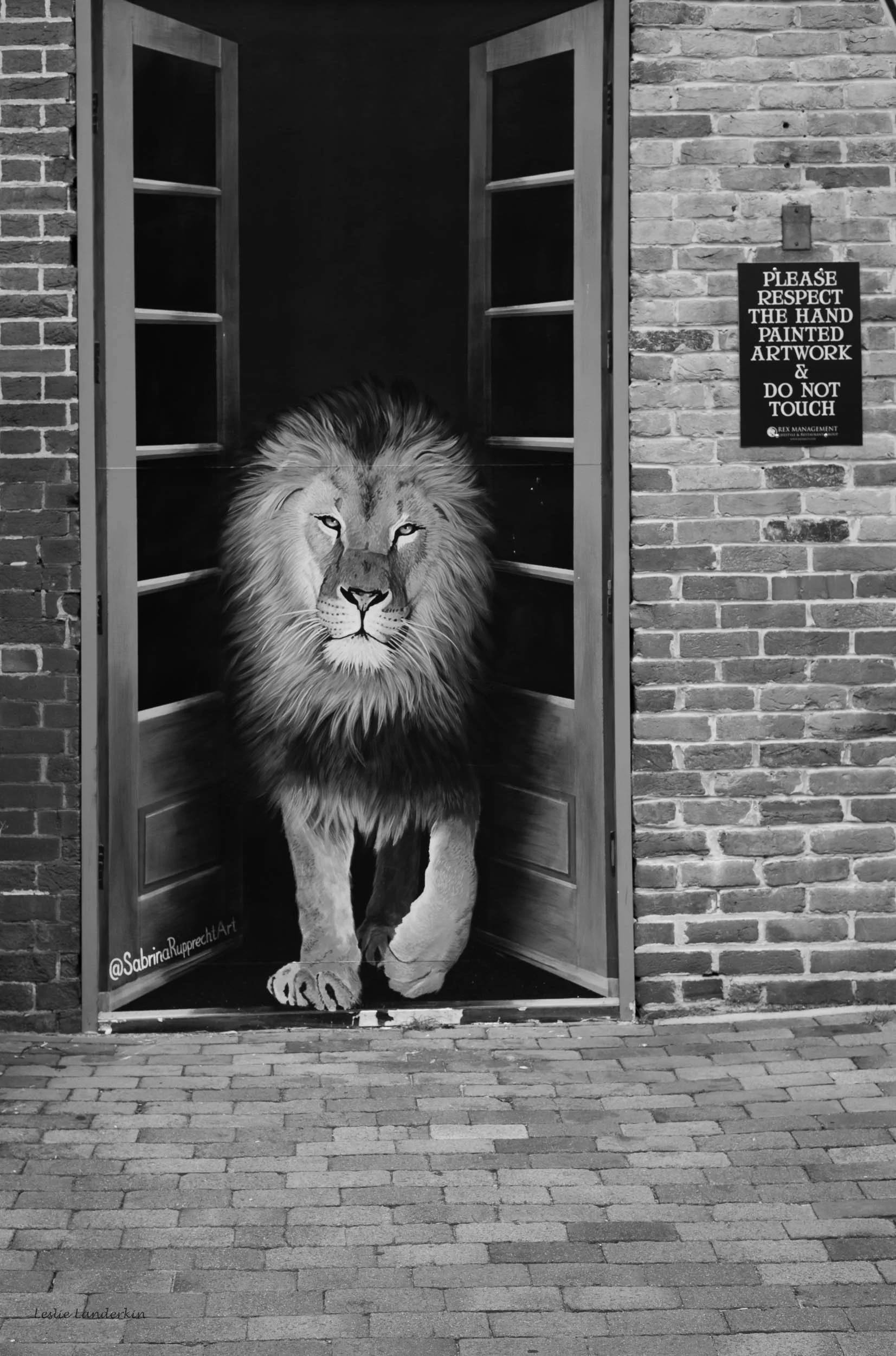 Old Town 081023-25.jpg