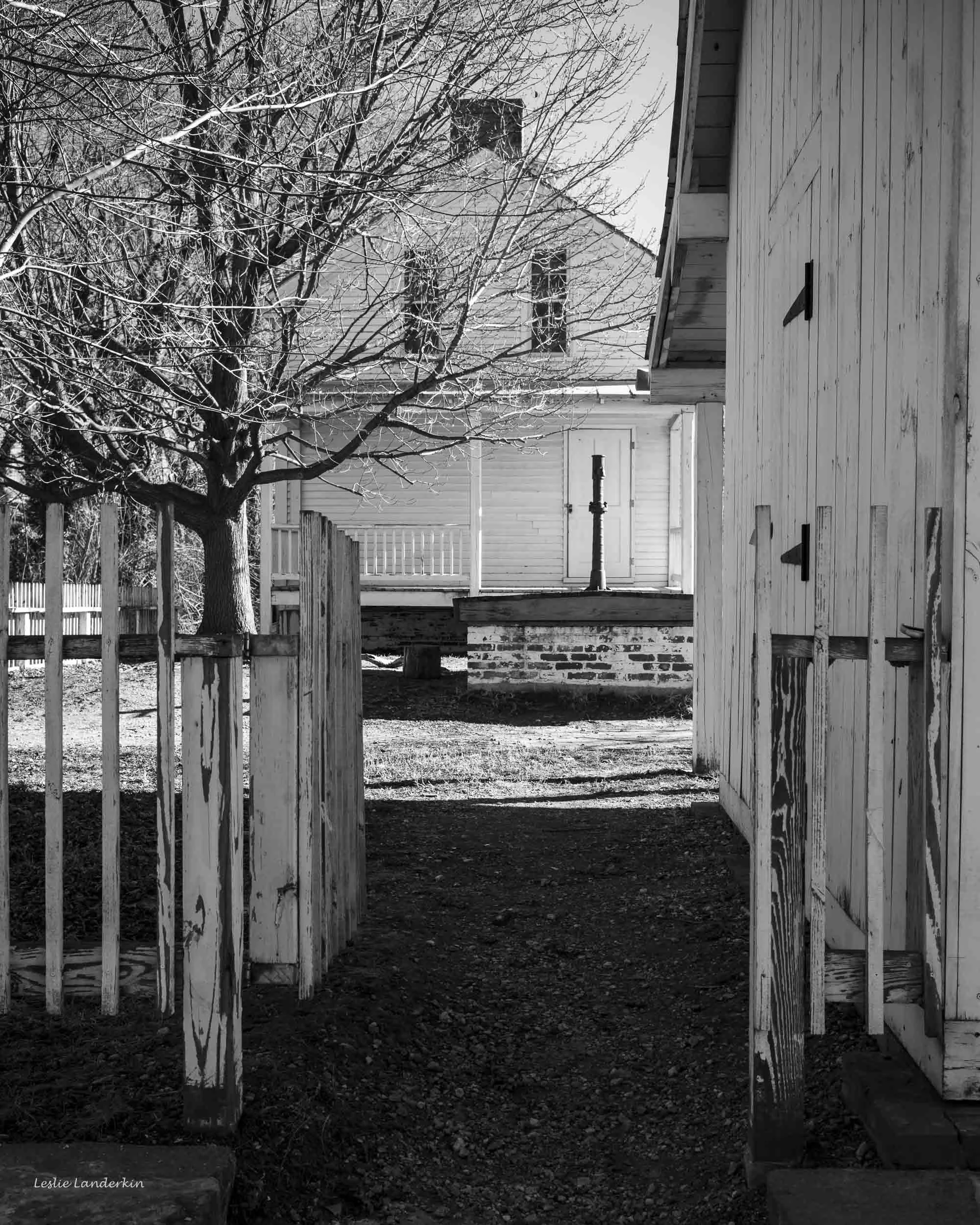 Jones Point 020424-8.jpg