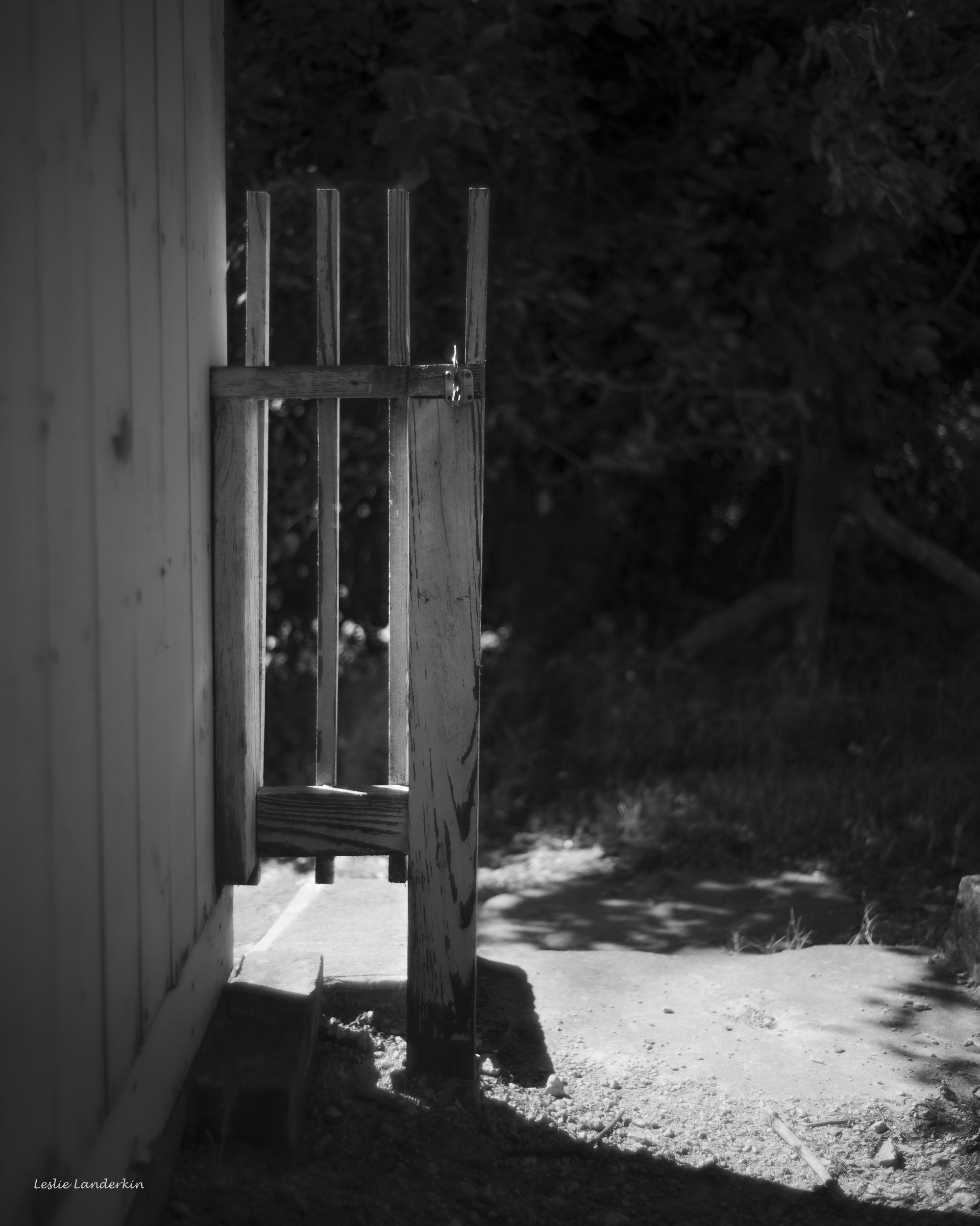 Jones Point 100625-22.jpg