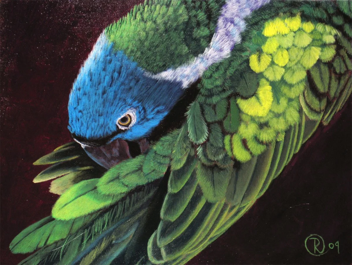 Green Parrot 1