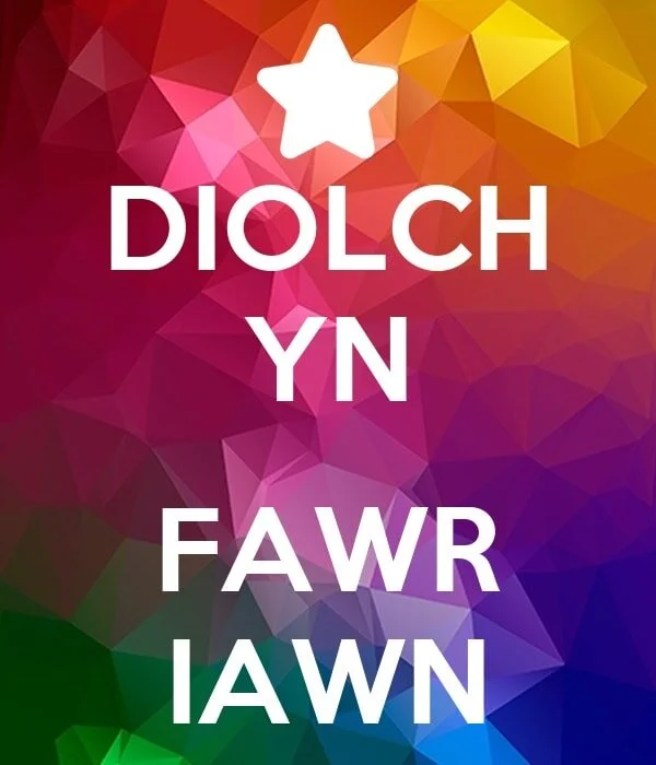 A very big THANK YOU to the orange 🧡 army of marshals 🦺🦺🦺🦺 for your continued support &amp; help on the Old Forge Garage Mewla Rally 2023 ☺️ 🏁🚗💨

We cannot run the event without all of your help and I know many of you have travelled from far.