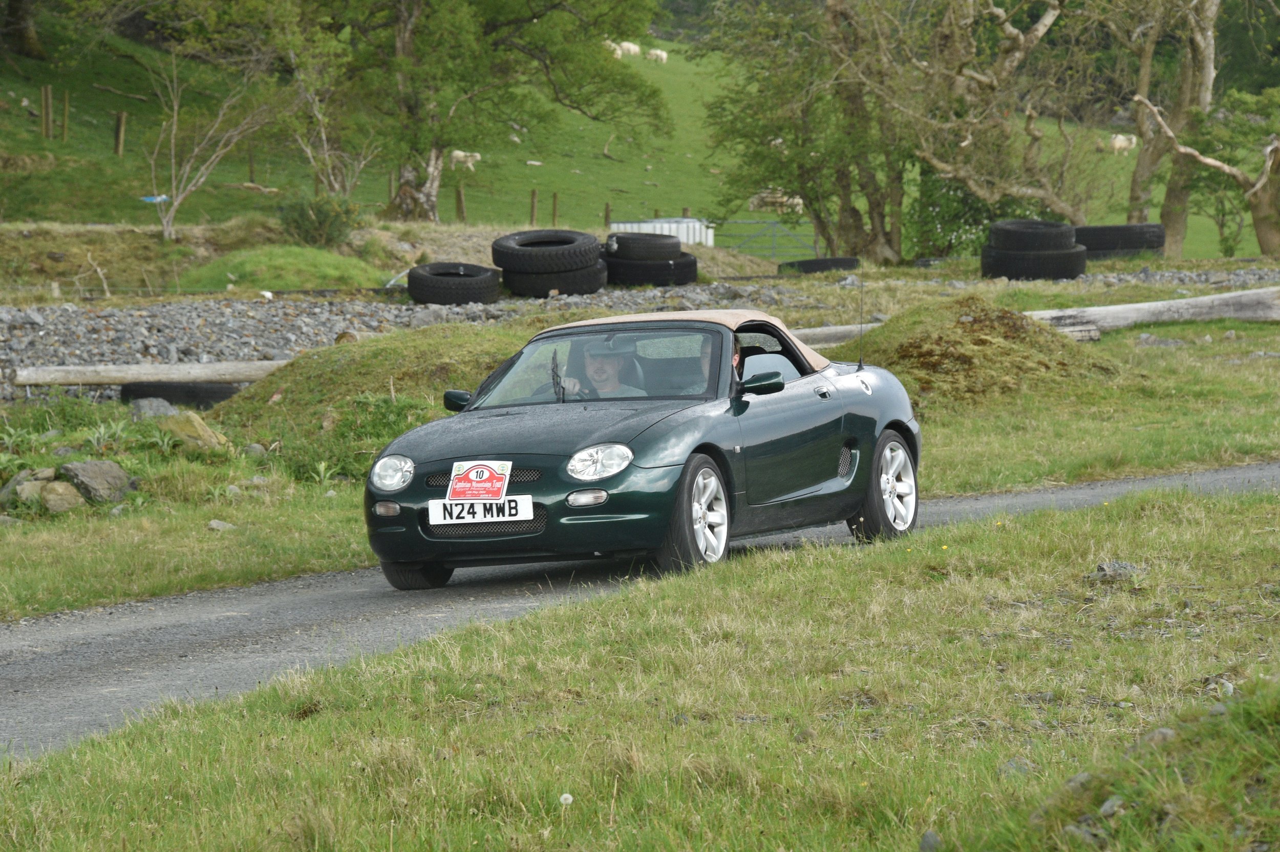 DSC_1946.JPG