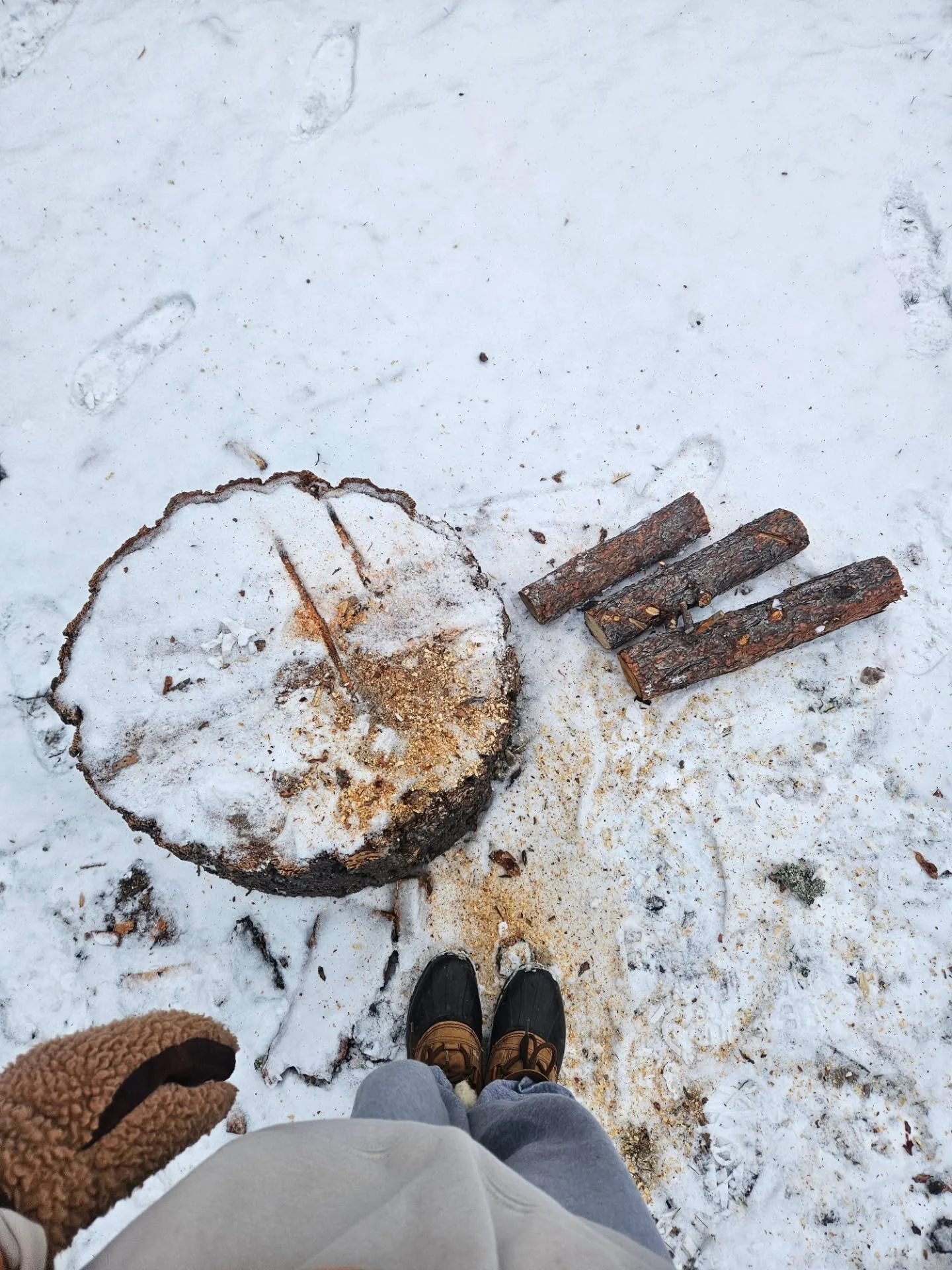 #montana #StudioLaVie #cabinlife